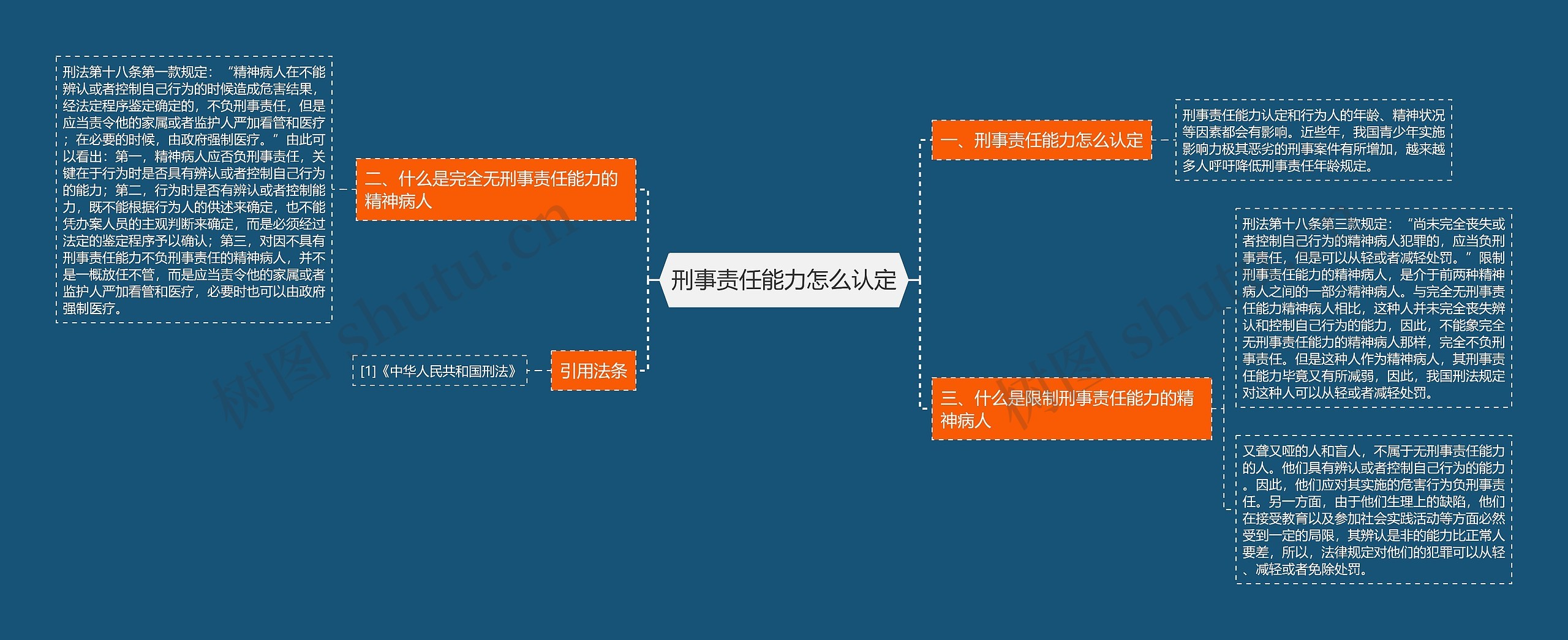 刑事责任能力怎么认定思维导图