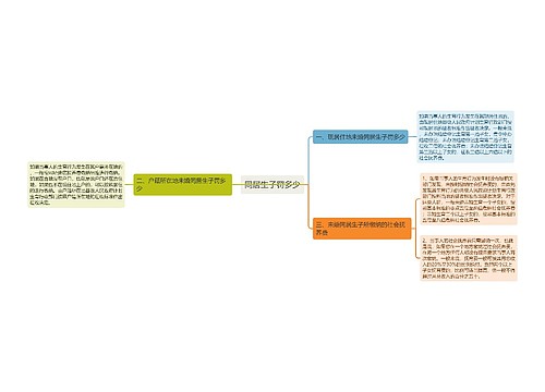 同居生子罚多少