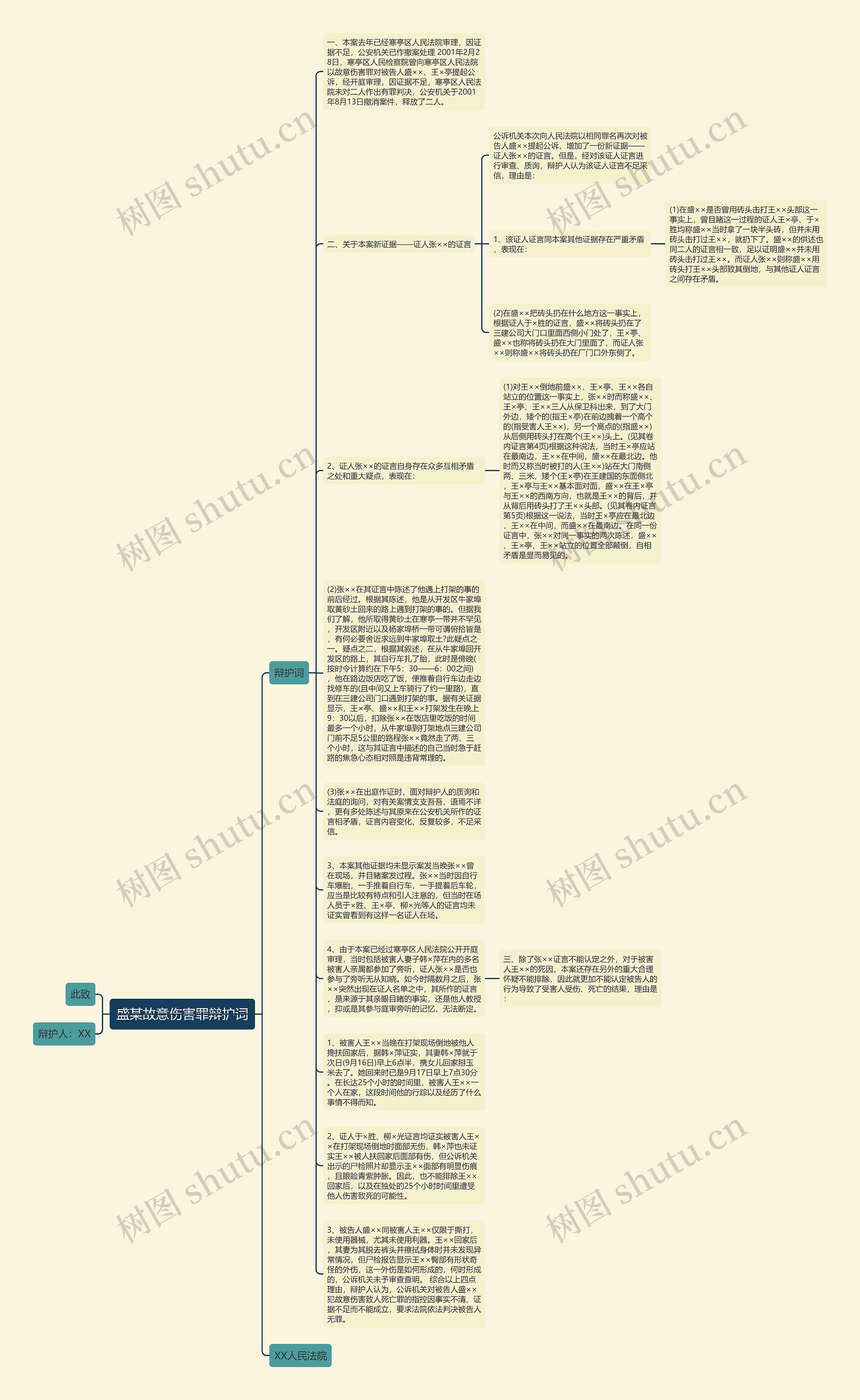 盛某故意伤害罪辩护词思维导图