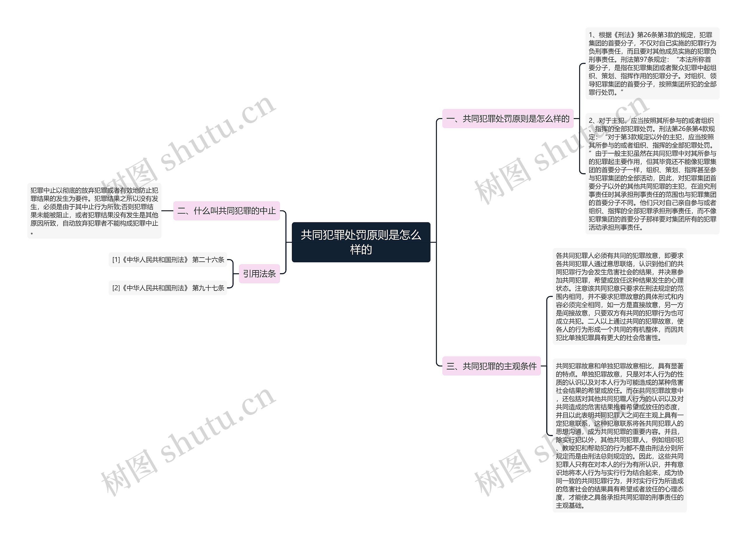 共同犯罪处罚原则是怎么样的思维导图