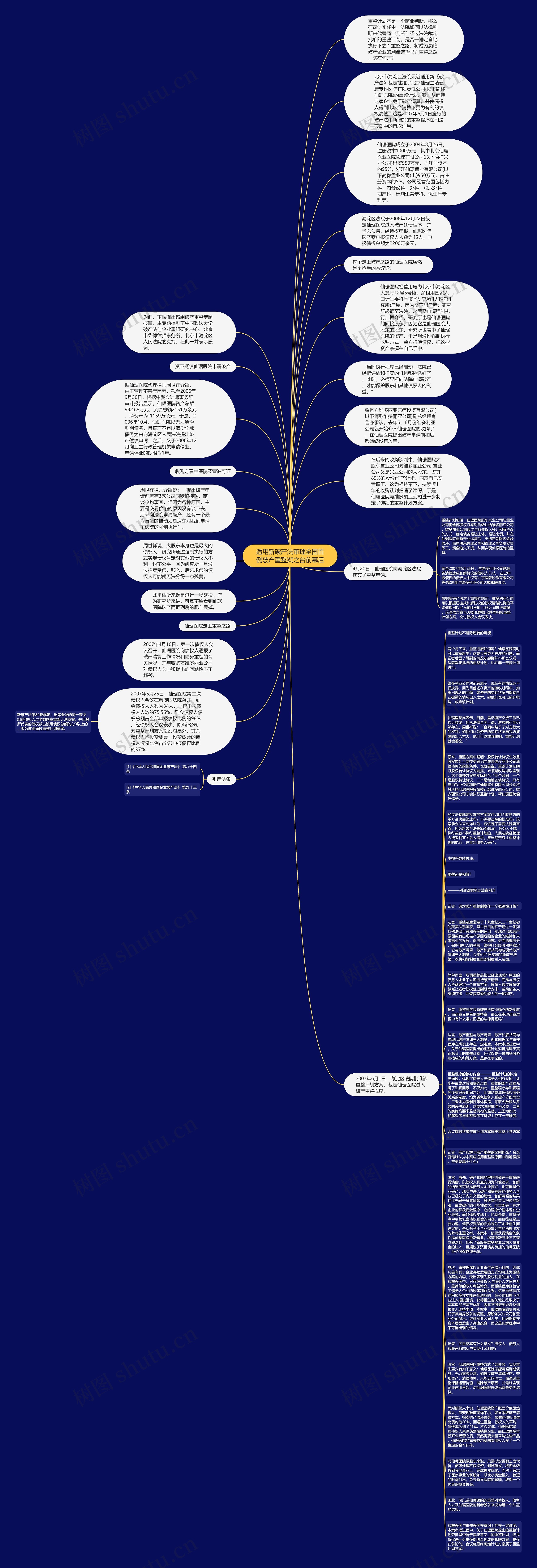 适用新破产法审理全国首例破产重整案之台前幕后思维导图