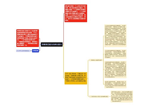 刑事责任能力的辨认能力