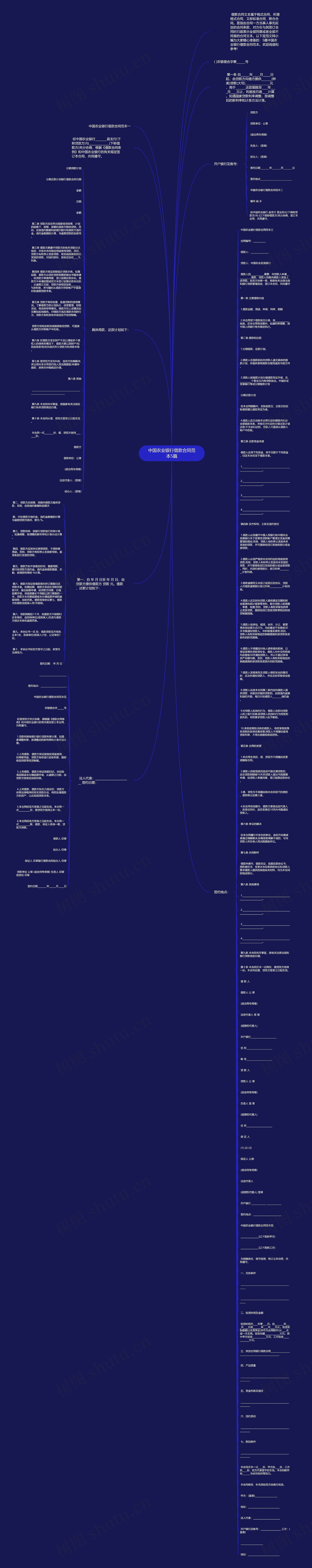中国农业银行借款合同范本5篇