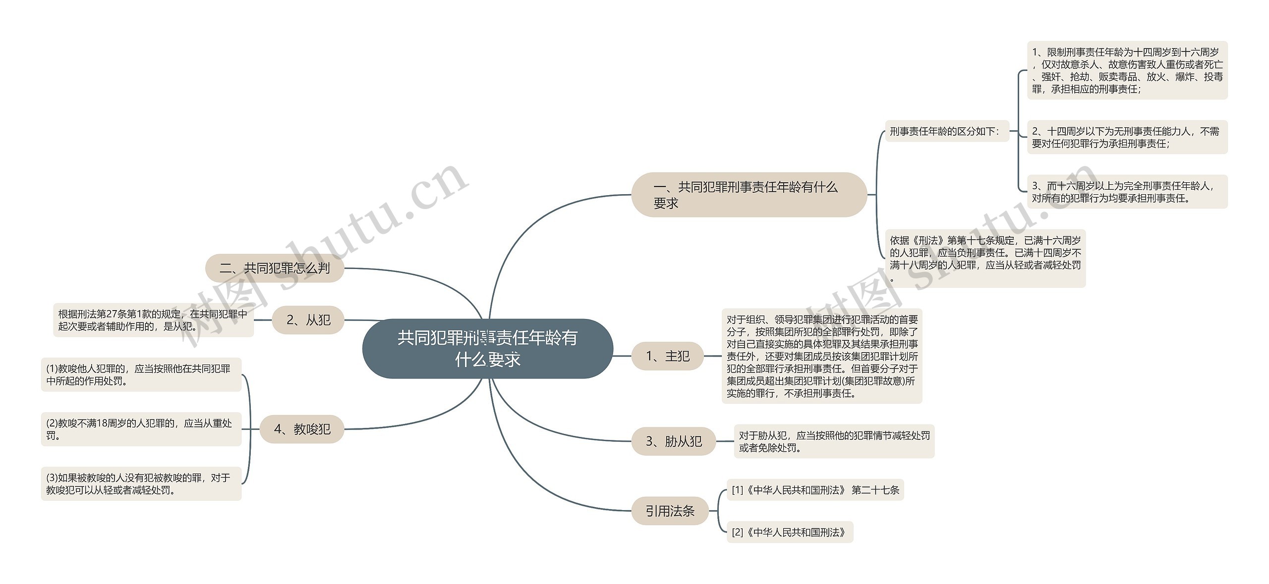 共同犯罪刑事责任年龄有什么要求思维导图