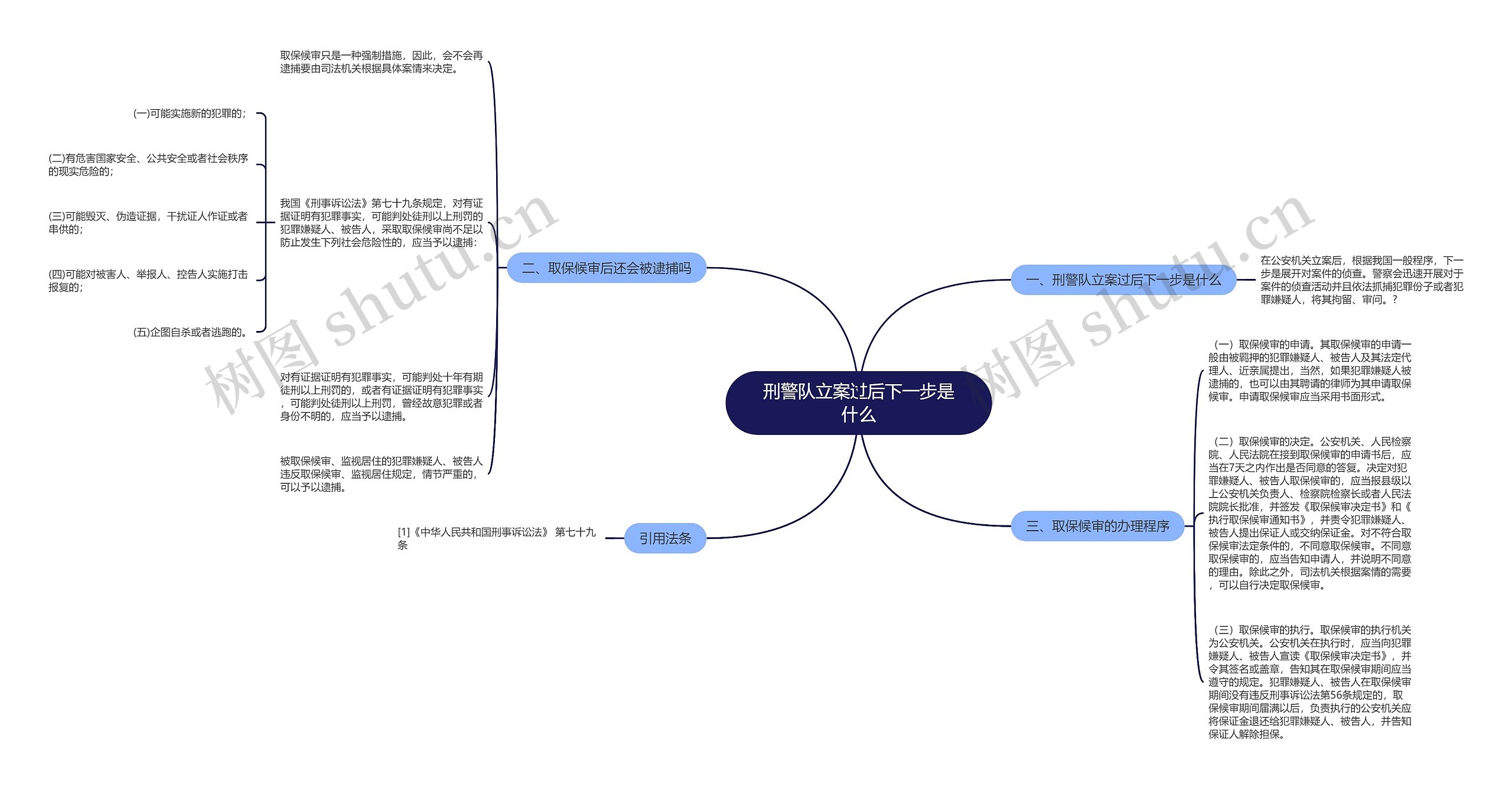 刑警队立案过后下一步是什么