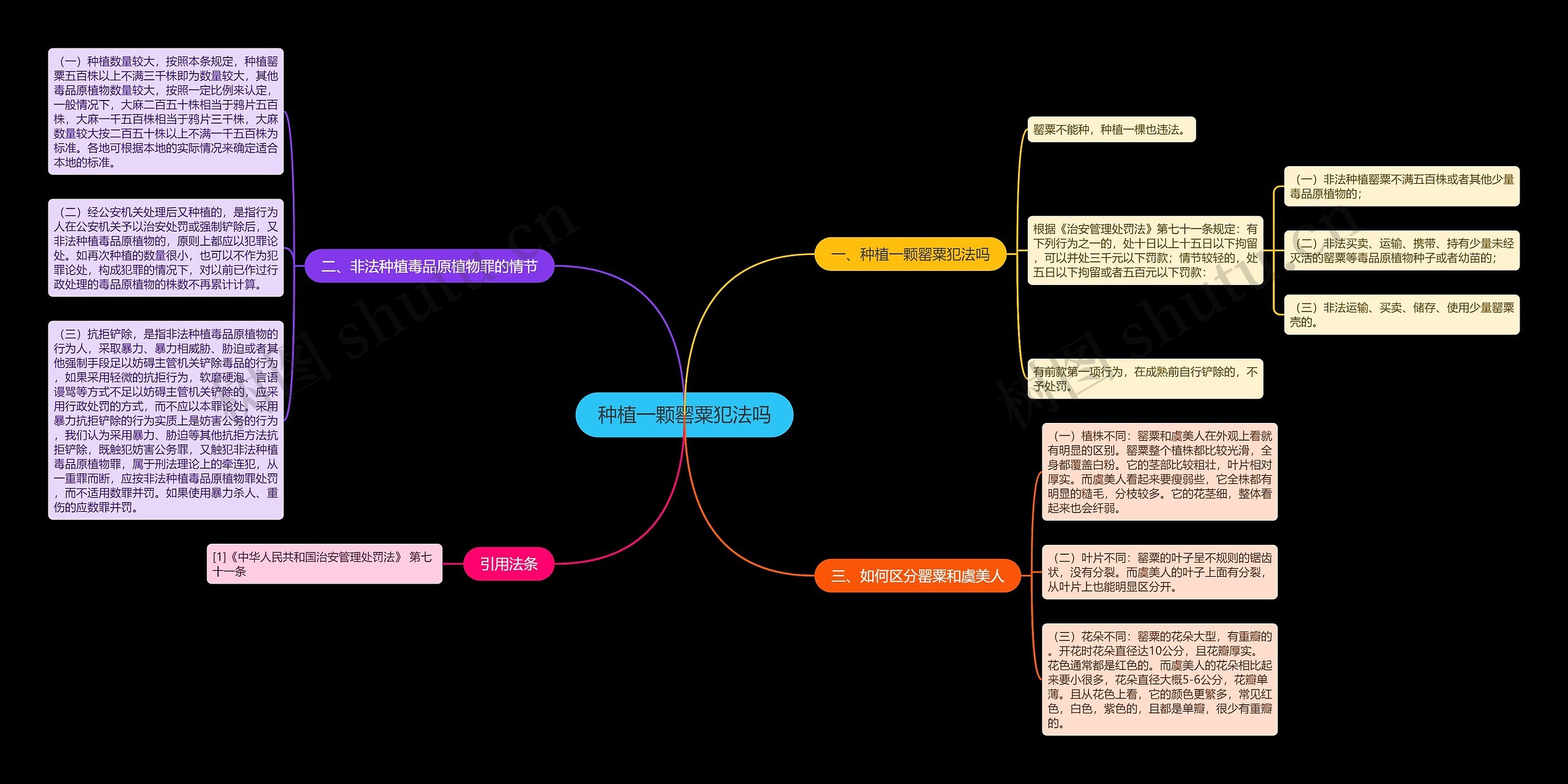 种植一颗罂粟犯法吗思维导图