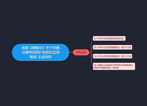 我国《婚姻法》关于军婚民事特别保护条款的适用解读 王成律师