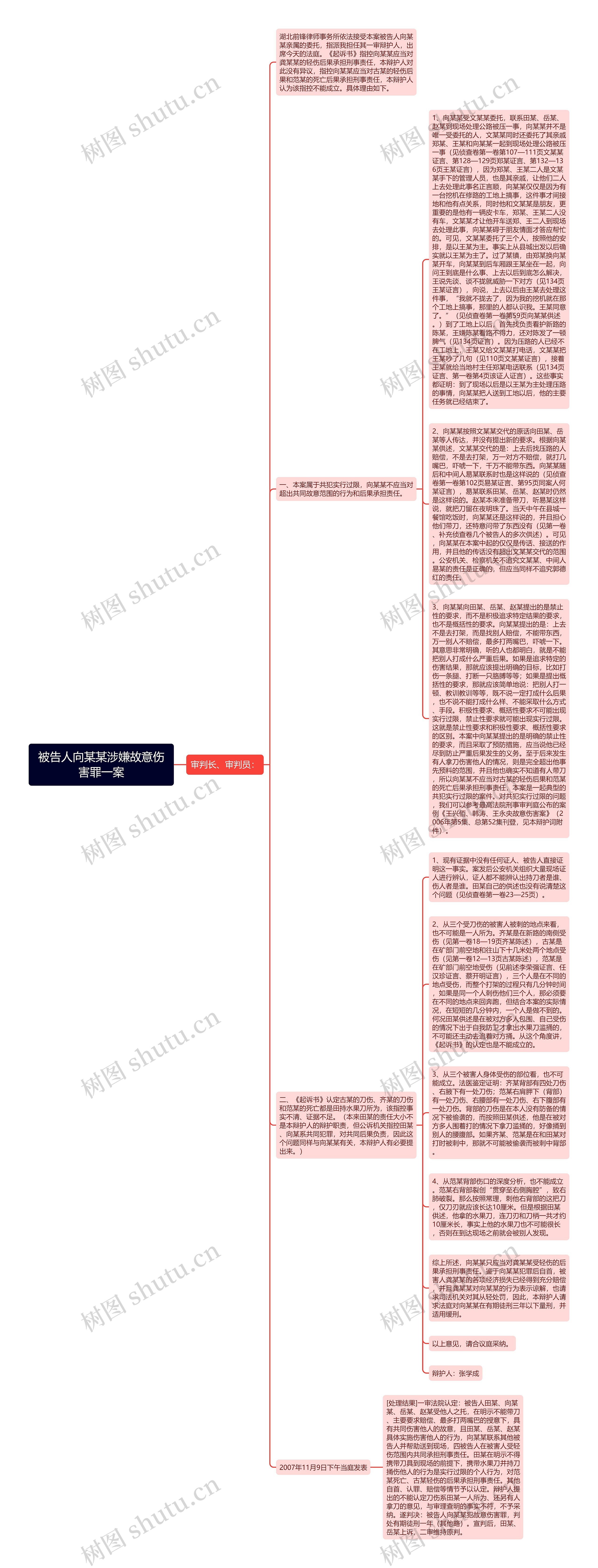 被告人向某某涉嫌故意伤害罪一案思维导图