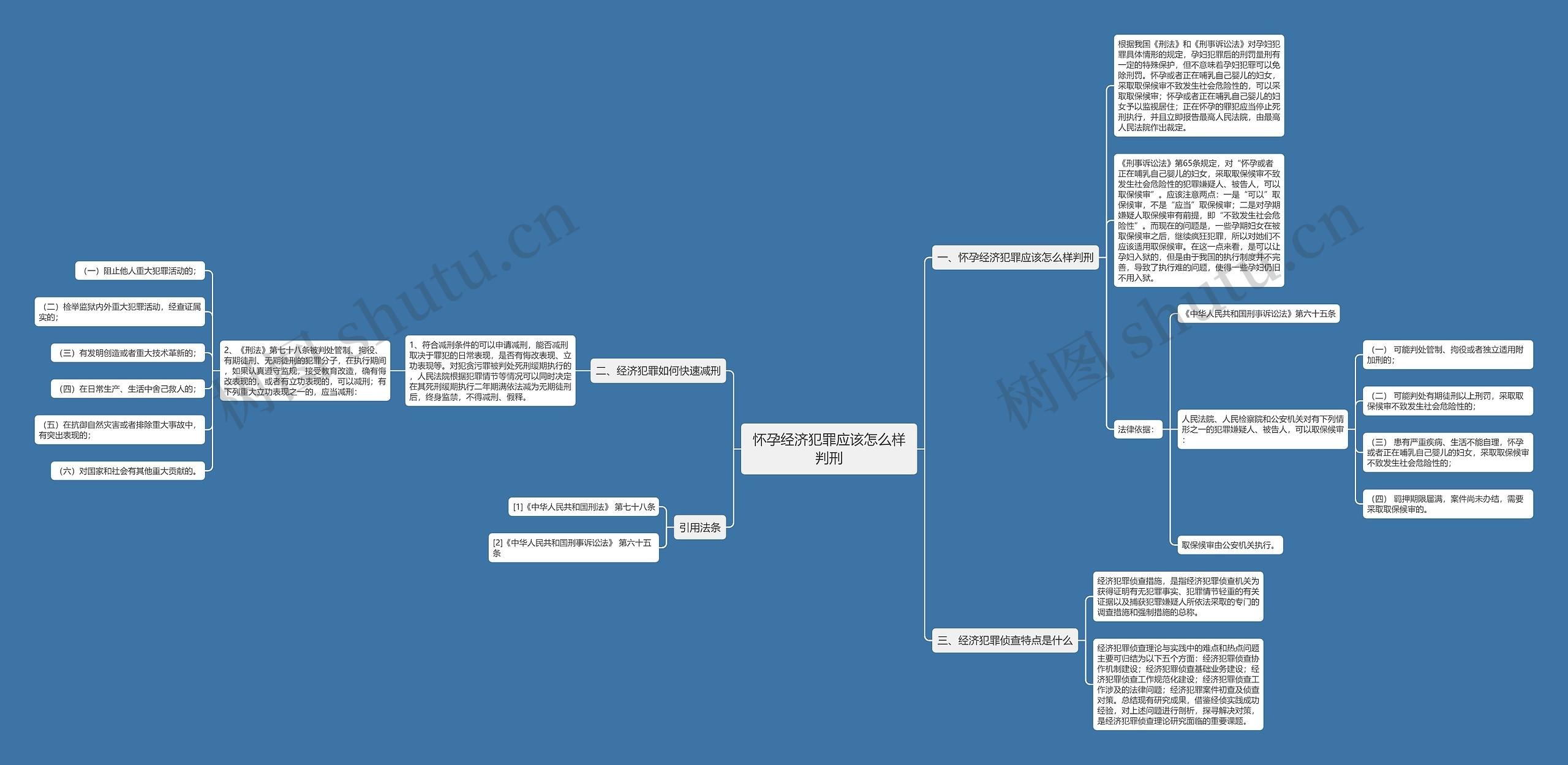 怀孕经济犯罪应该怎么样判刑思维导图