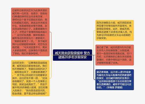 臧天朔未获取保候审 警方逮捕20多名涉案保安