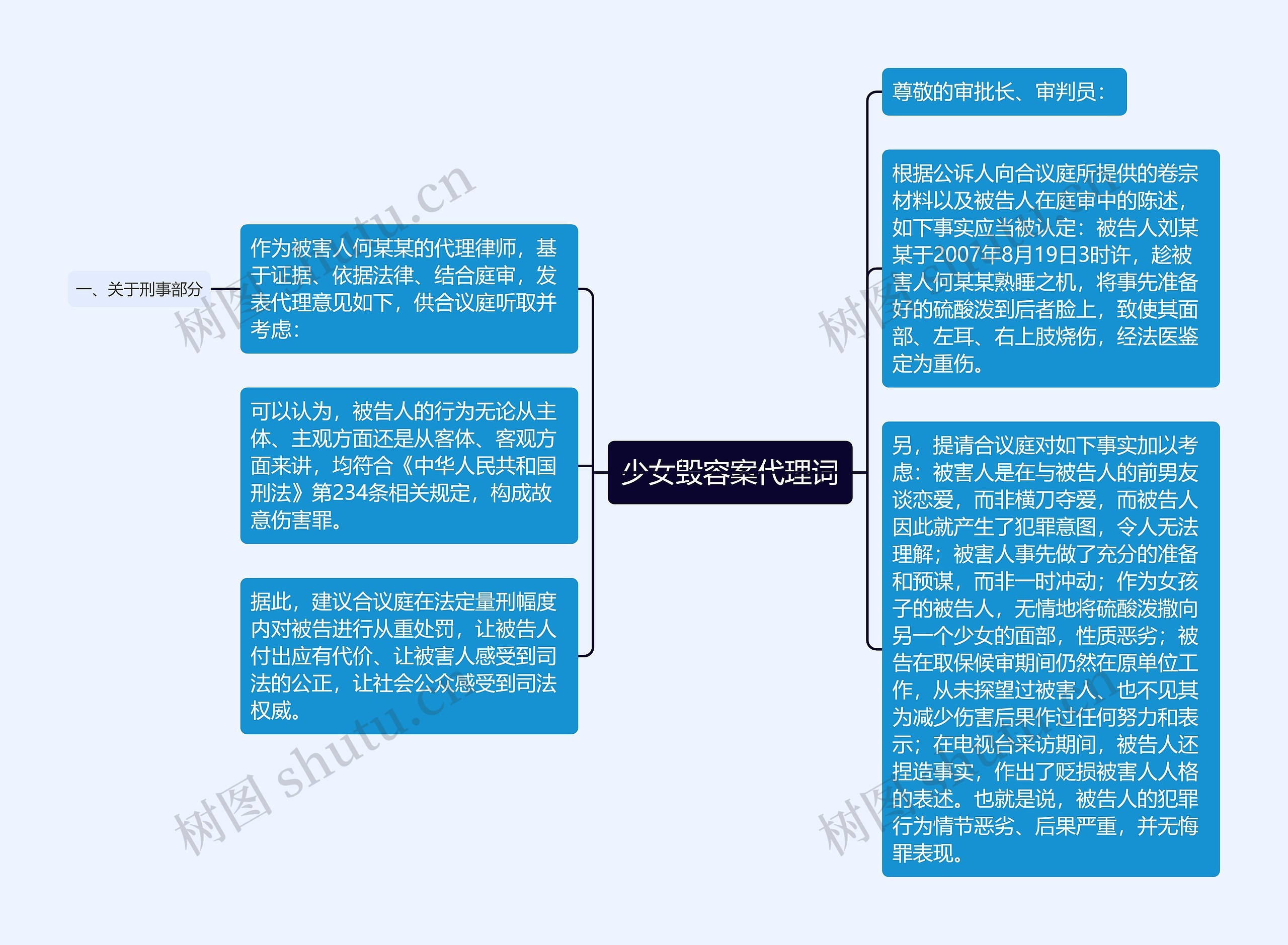 少女毁容案代理词思维导图