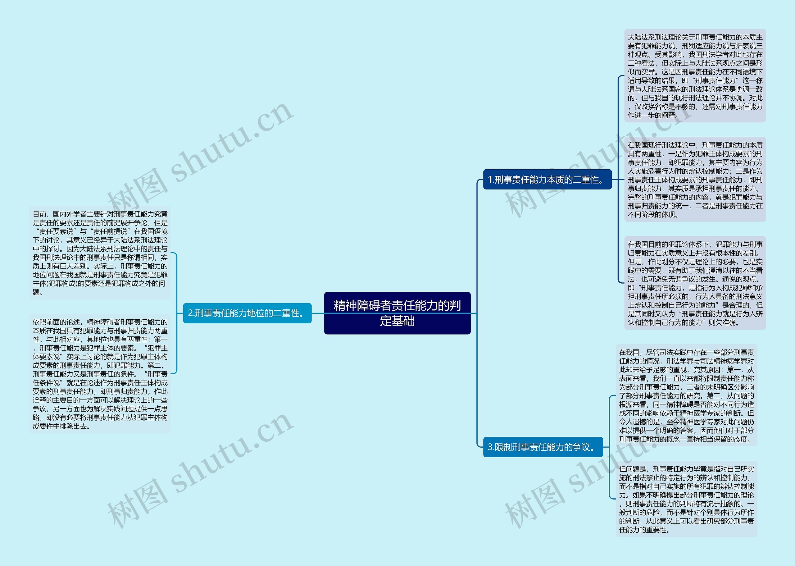 精神障碍者责任能力的判定基础思维导图