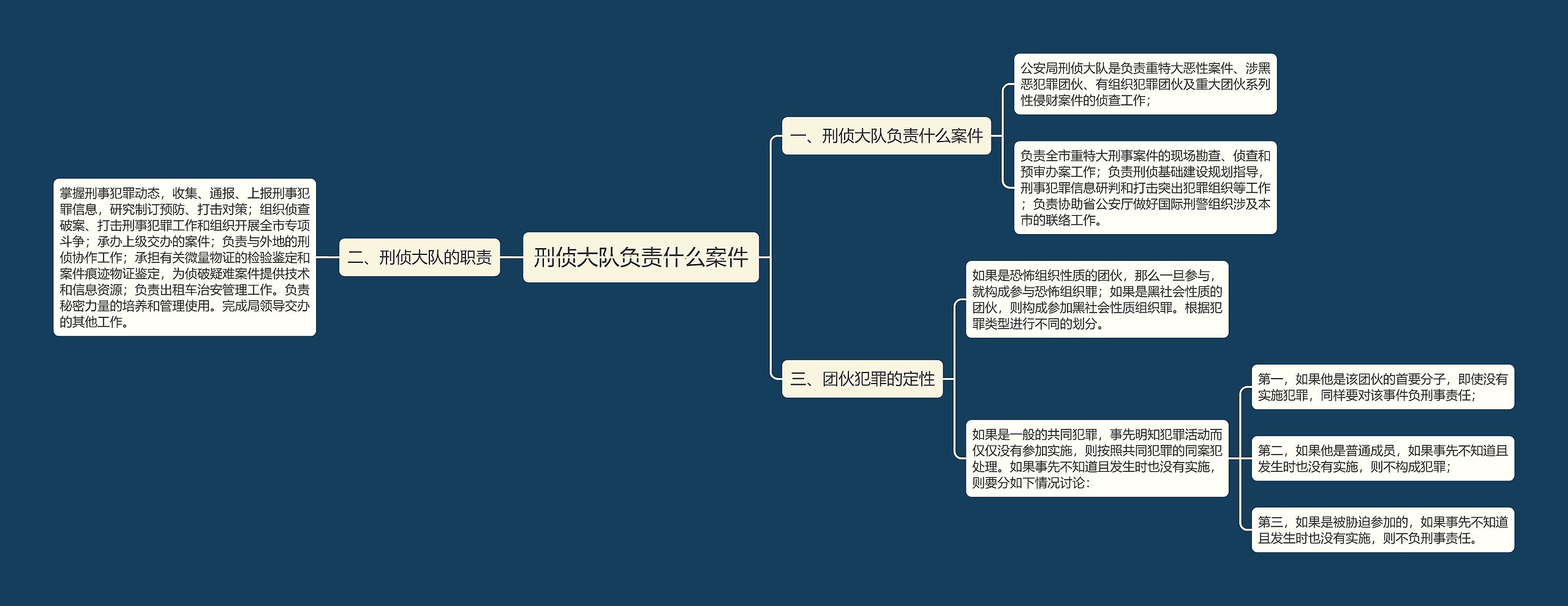 刑侦大队负责什么案件