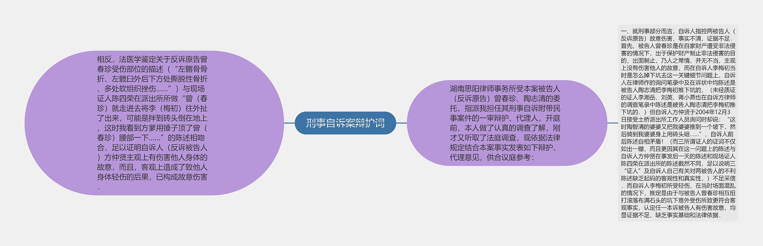 刑事自诉案辩护词