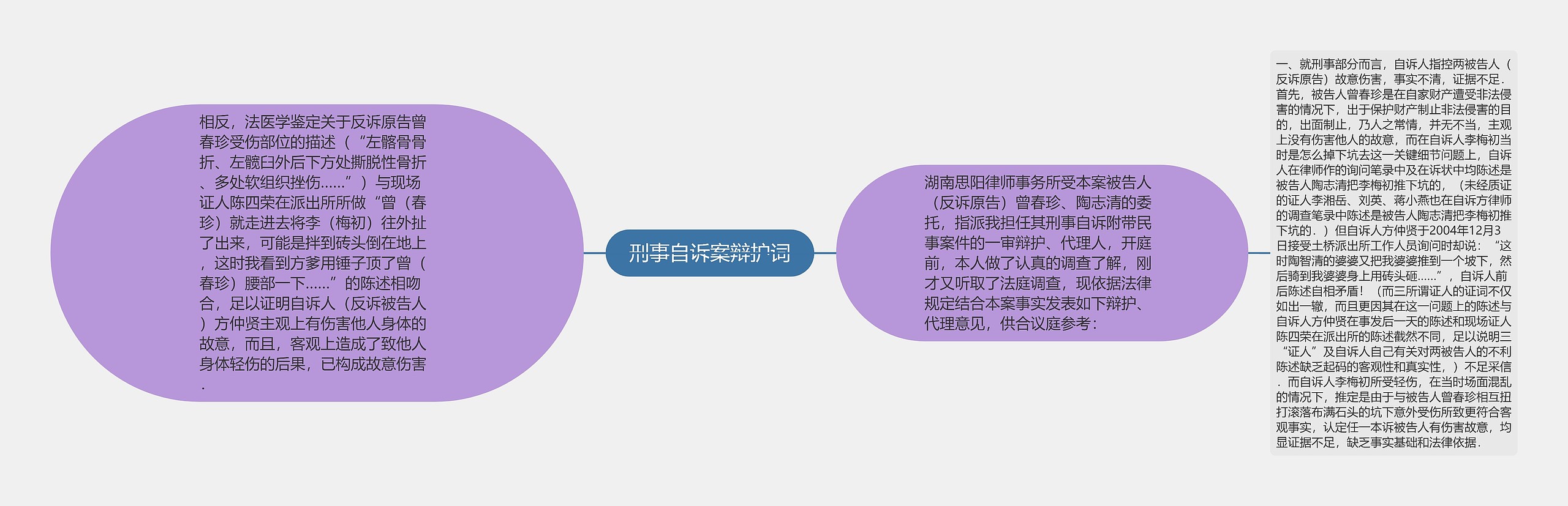 刑事自诉案辩护词思维导图