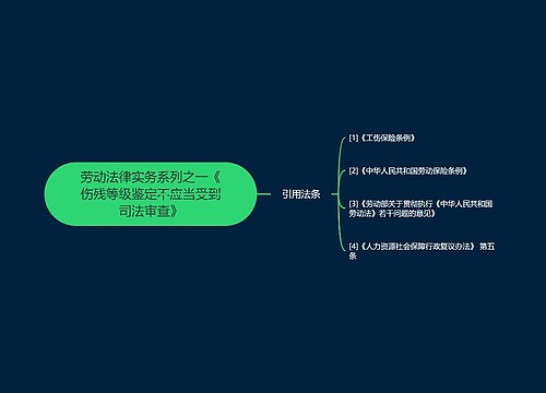 劳动法律实务系列之一《伤残等级鉴定不应当受到司法审查》