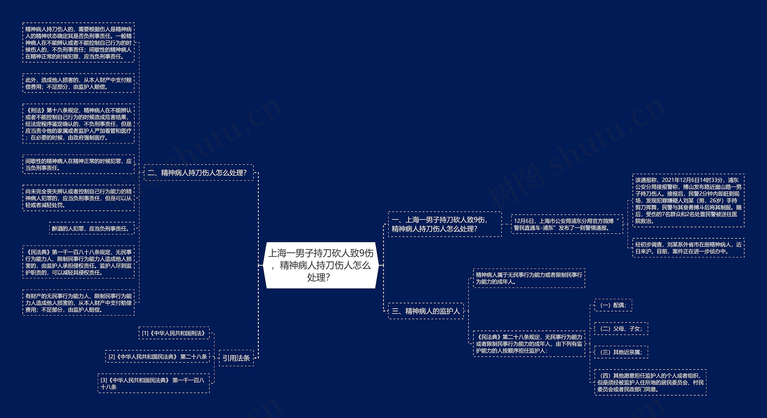 上海一男子持刀砍人致9伤，精神病人持刀伤人怎么处理？