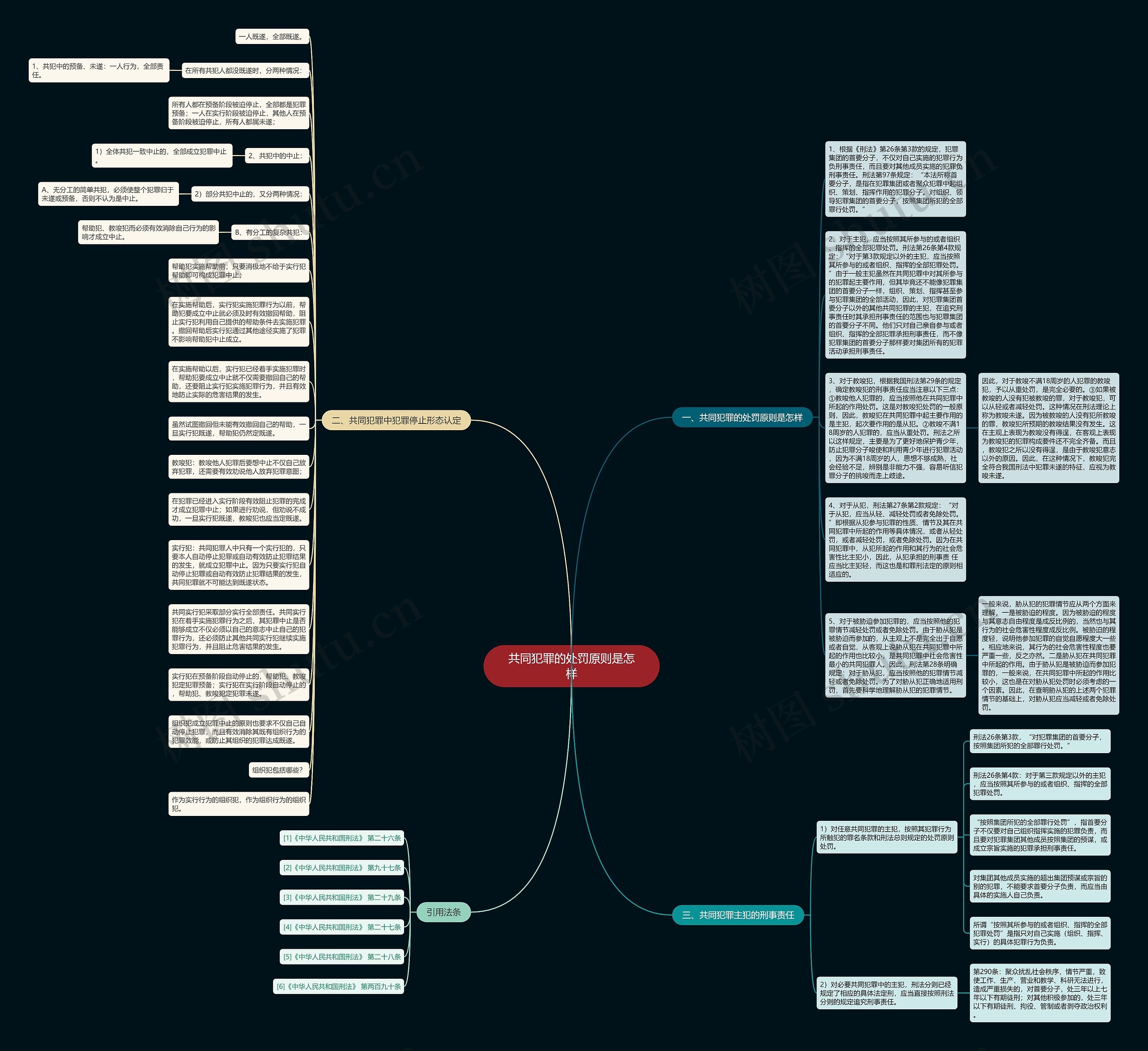 共同犯罪的处罚原则是怎样思维导图