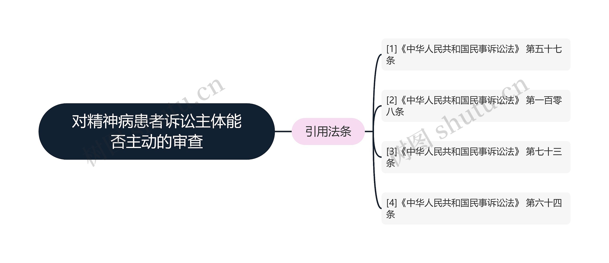 对精神病患者诉讼主体能否主动的审查