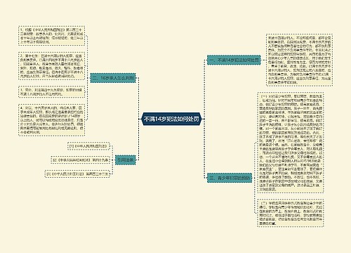 不满14岁犯法如何处罚