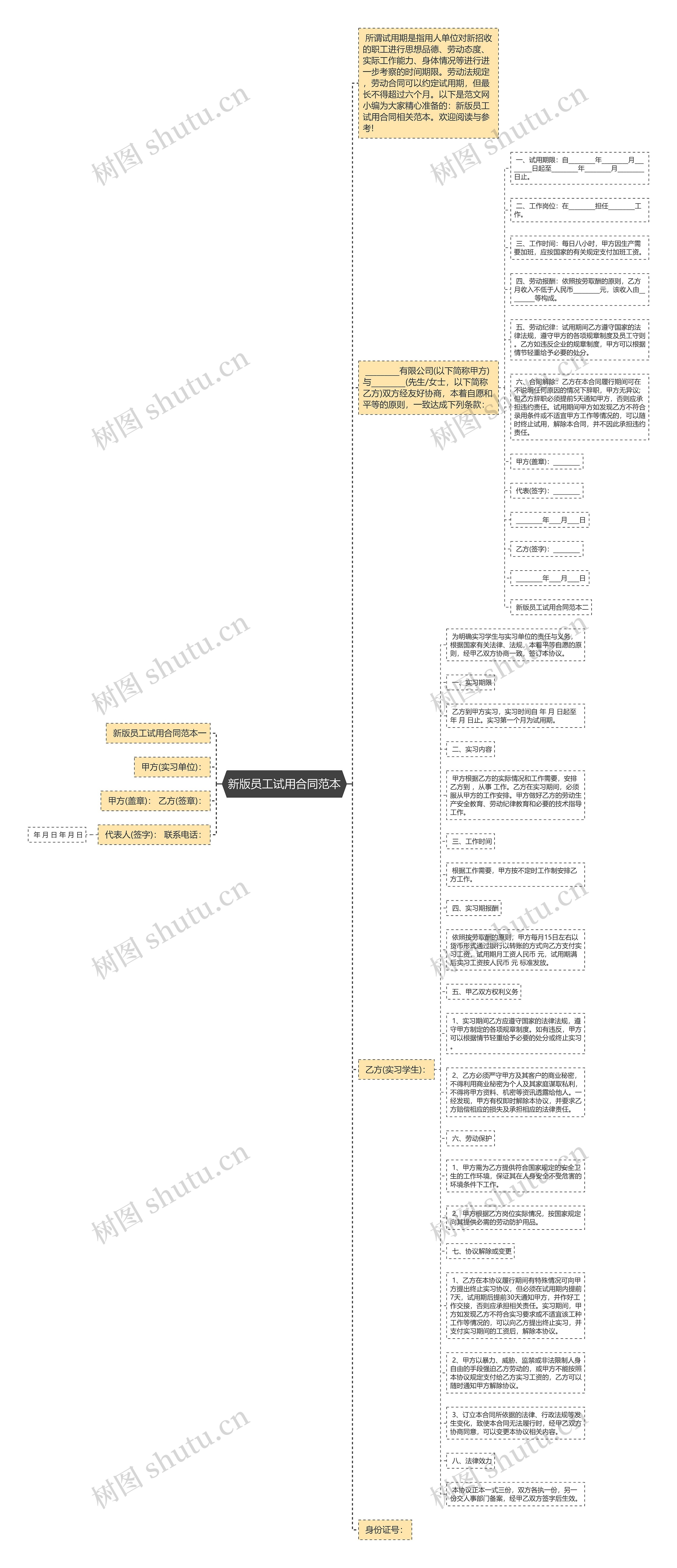 新版员工试用合同范本思维导图