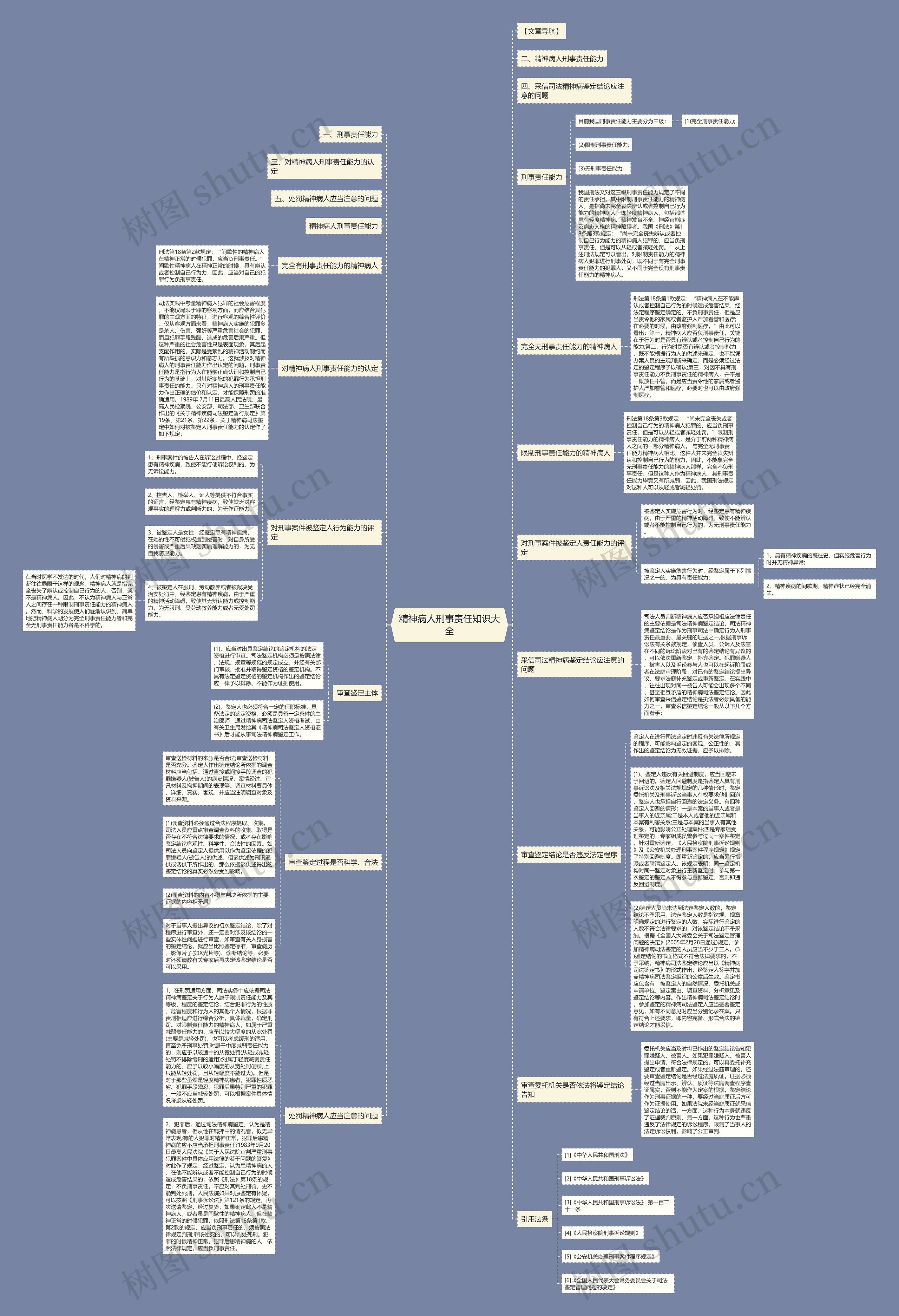 精神病人刑事责任知识大全思维导图