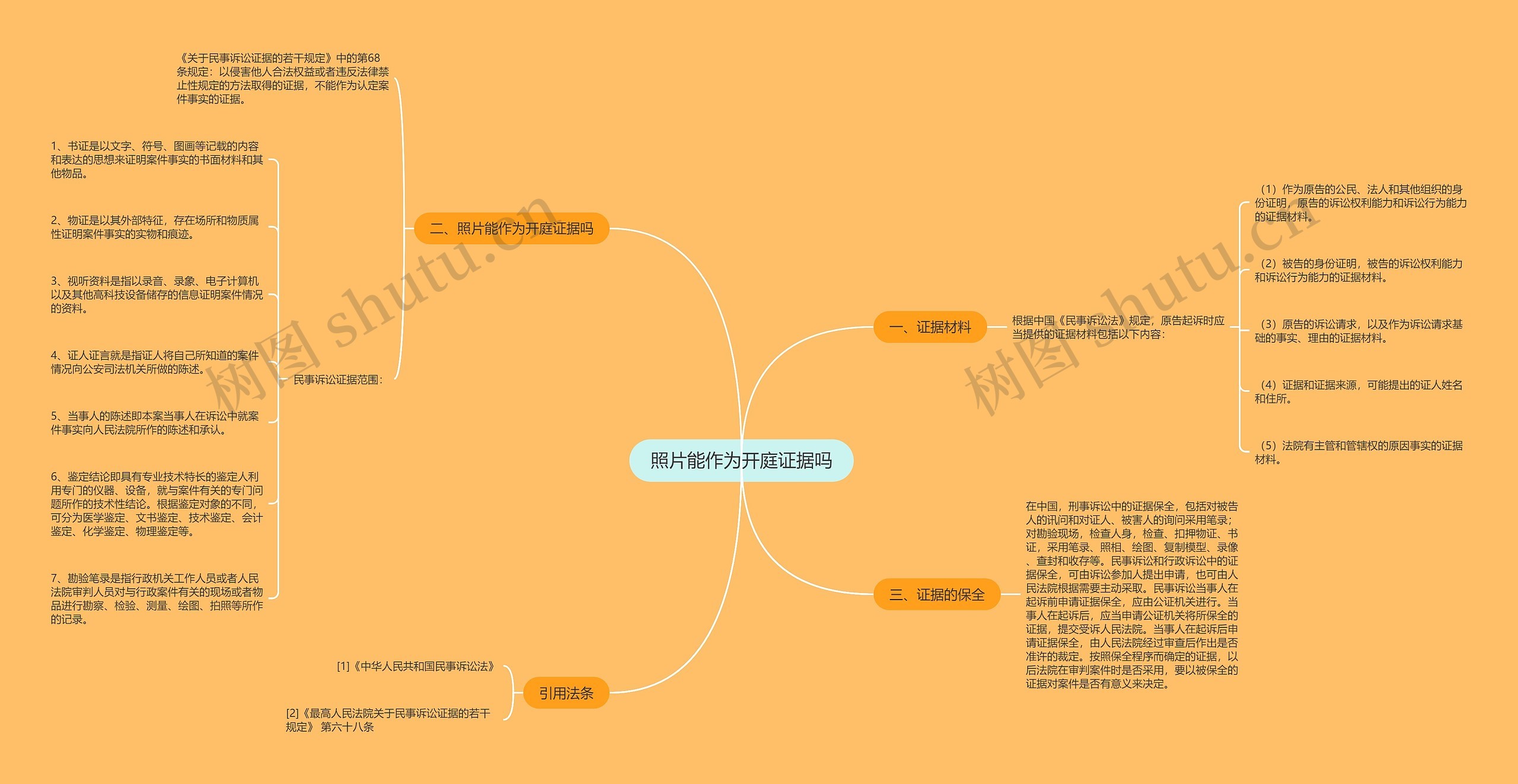 照片能作为开庭证据吗思维导图