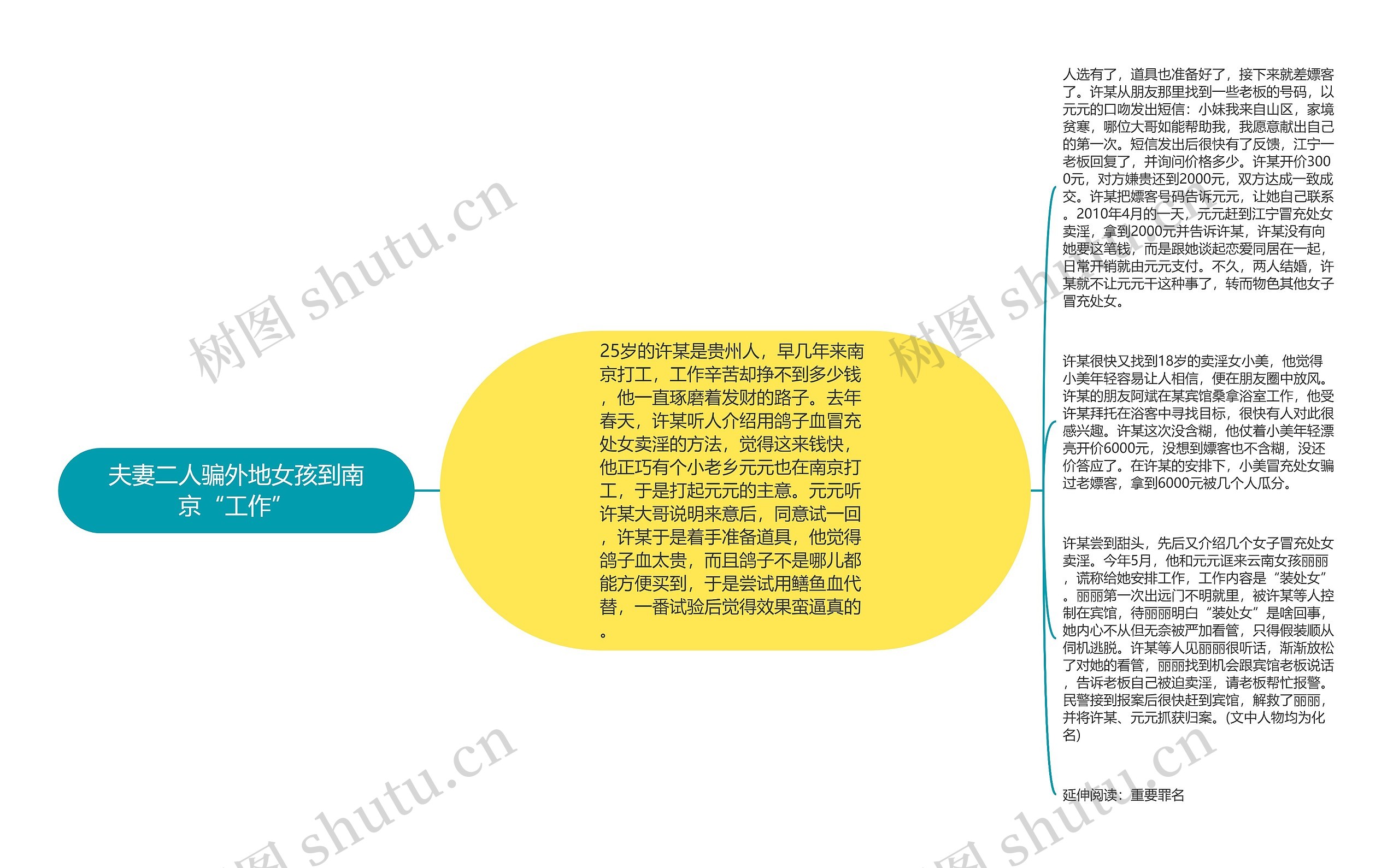 夫妻二人骗外地女孩到南京“工作”思维导图