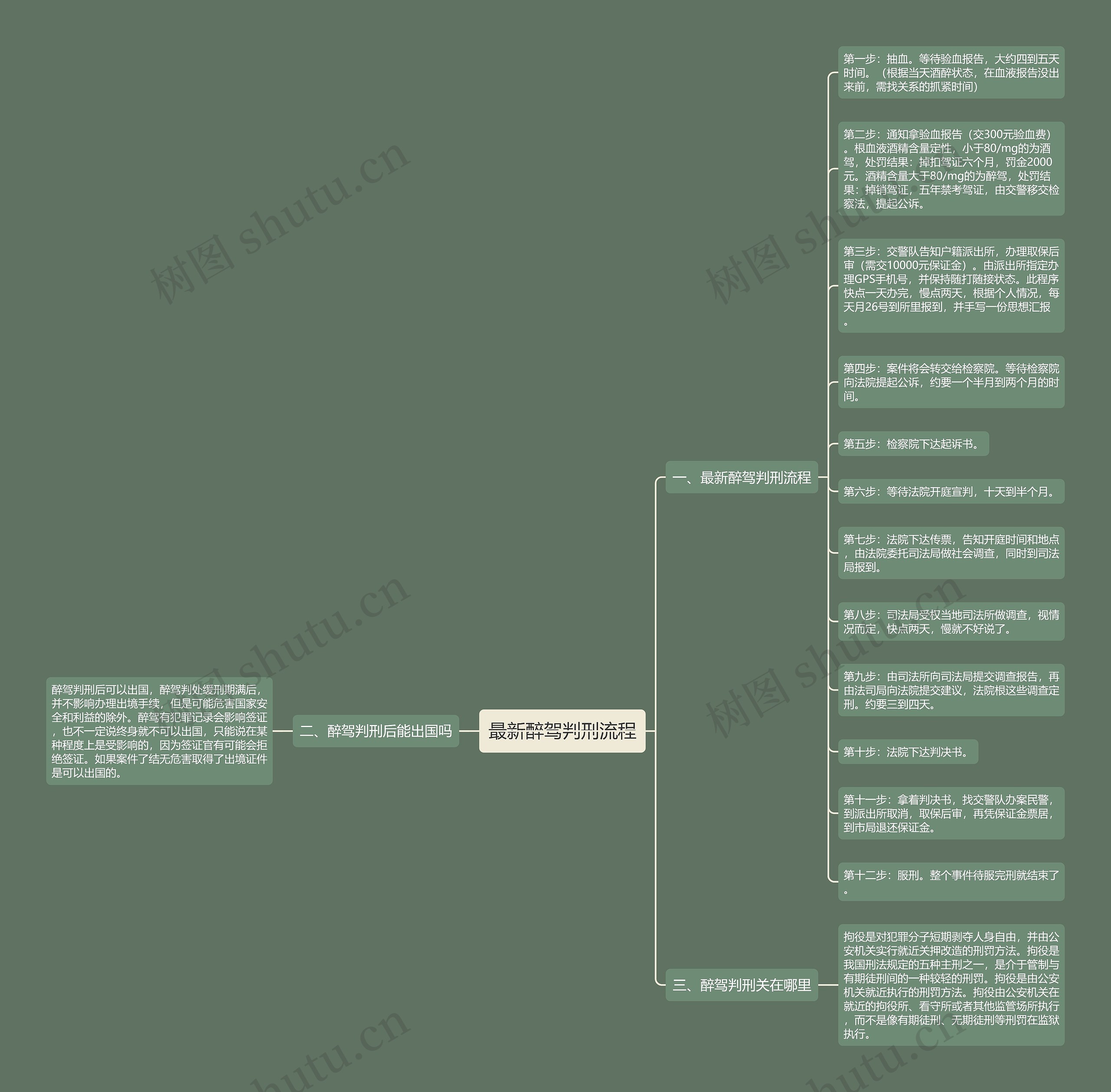 最新醉驾判刑流程思维导图