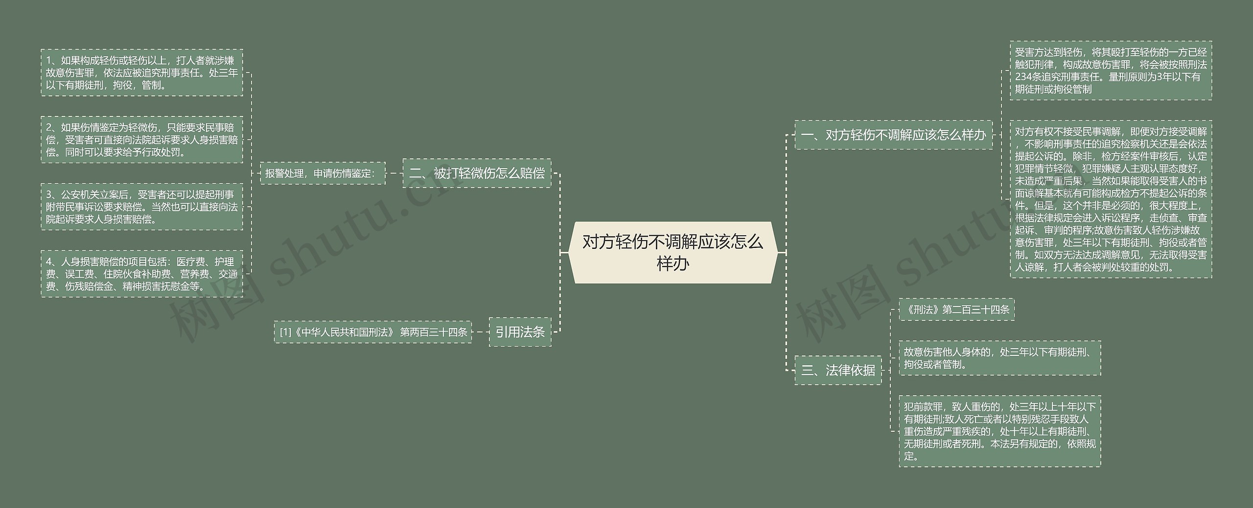 对方轻伤不调解应该怎么样办思维导图