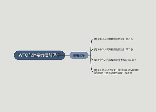 WTO与消费者权益保护