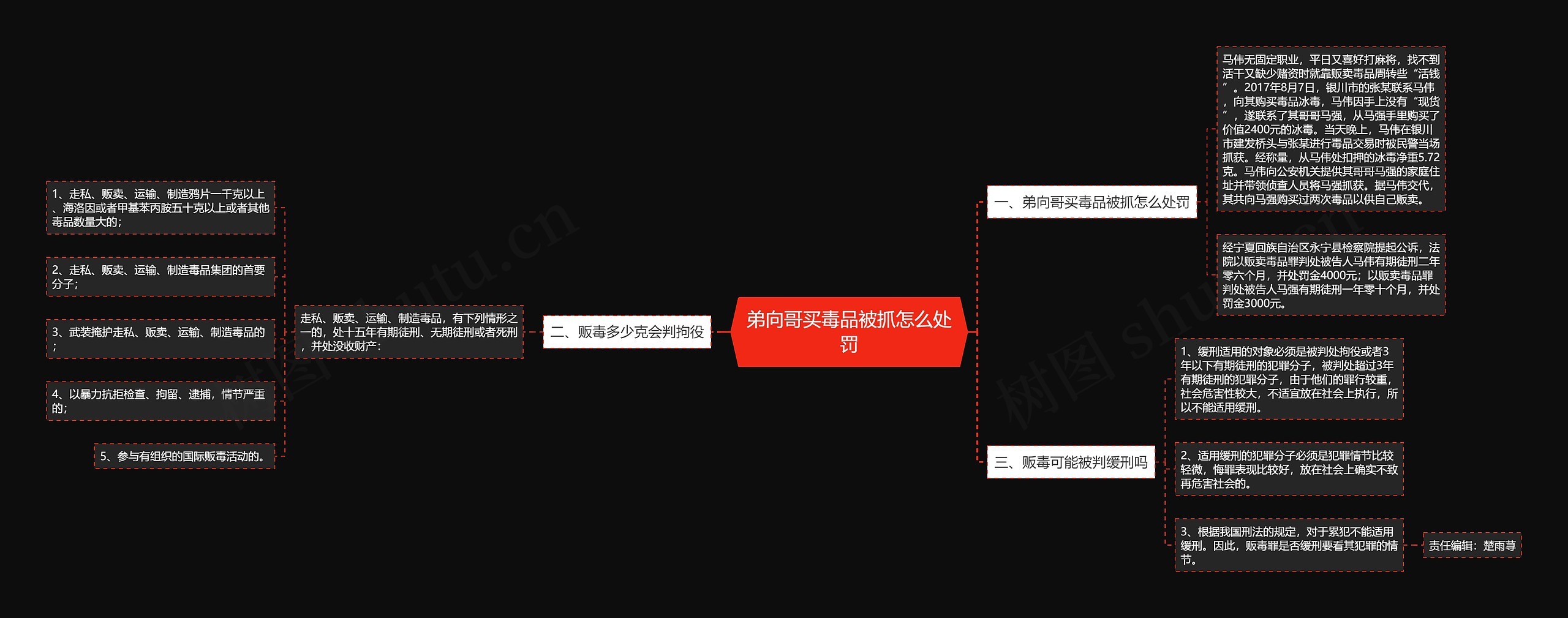 弟向哥买毒品被抓怎么处罚思维导图