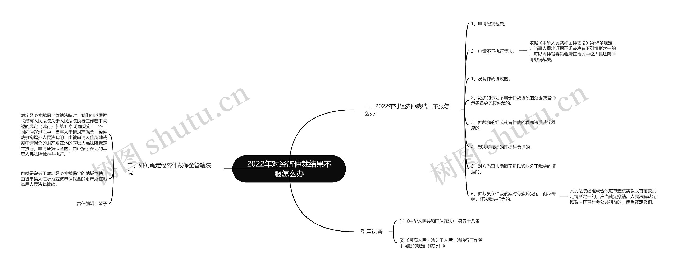 2022年对经济仲裁结果不服怎么办思维导图