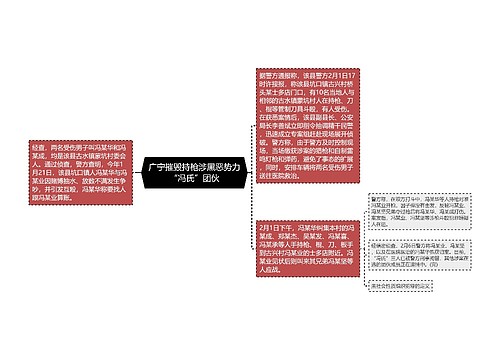 广宁摧毁持枪涉黑恶势力“冯氏”团伙