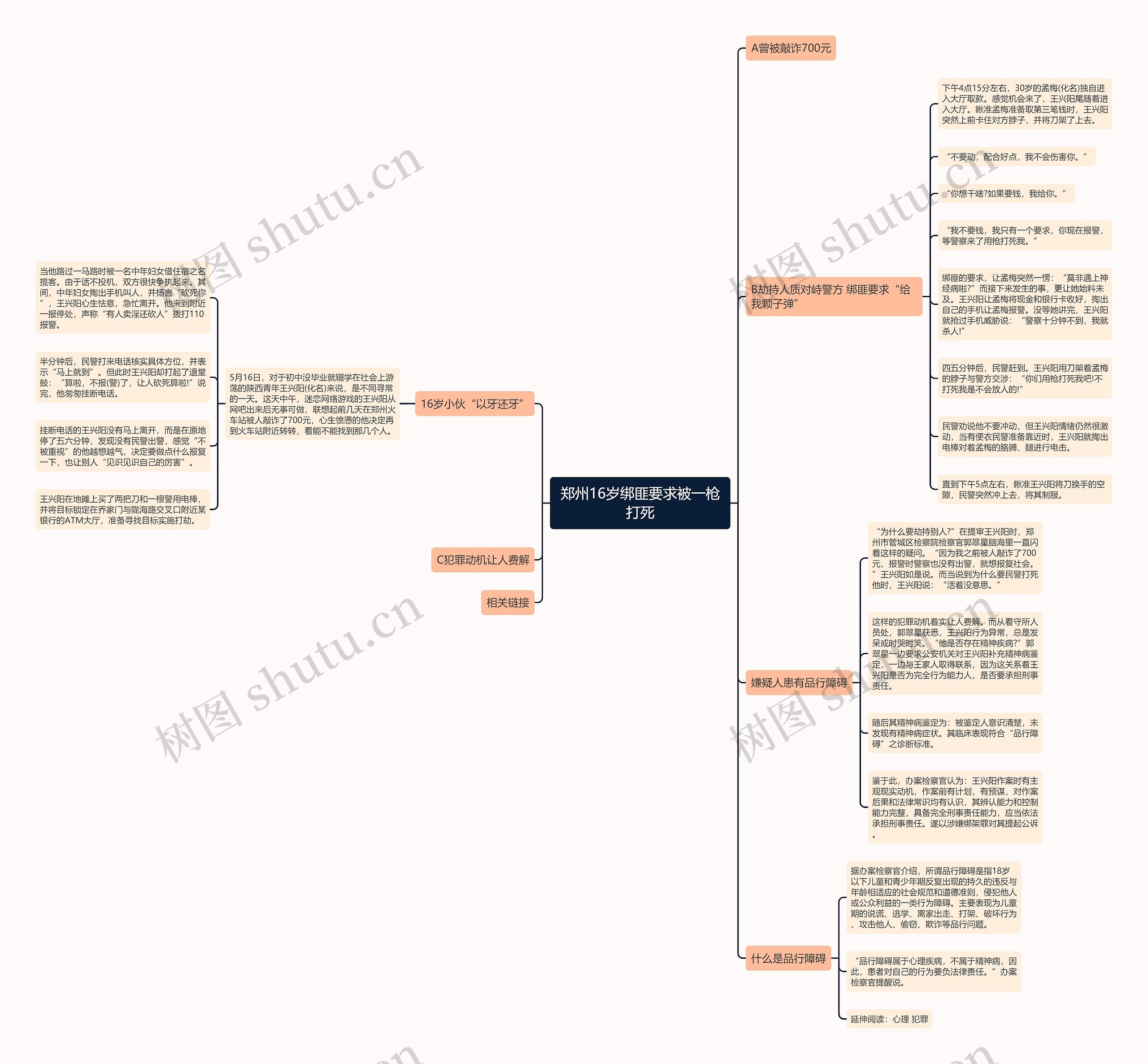 郑州16岁绑匪要求被一枪打死思维导图