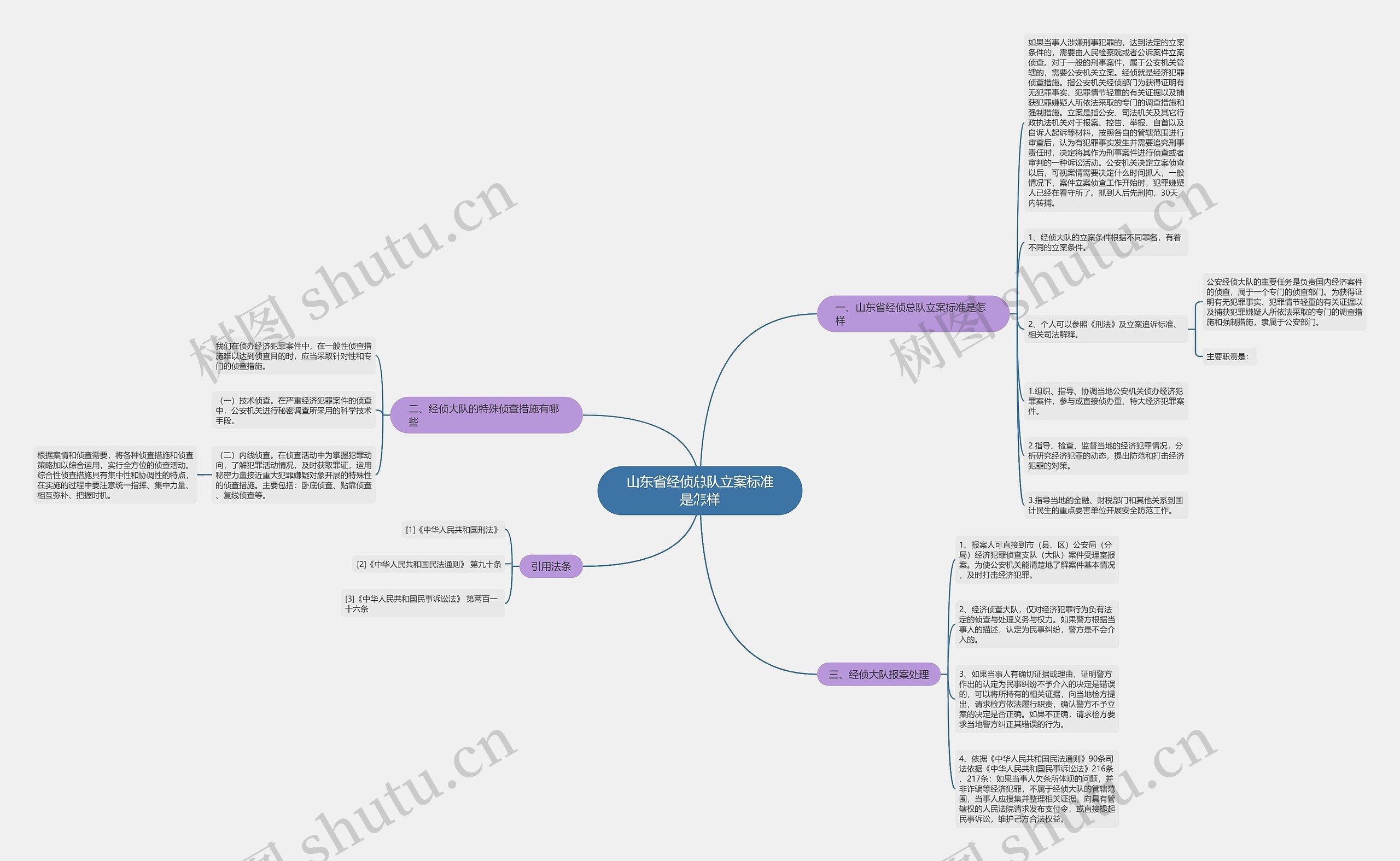 山东省经侦总队立案标准是怎样思维导图