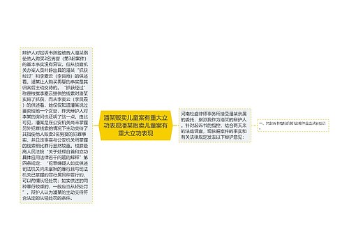 潘某贩卖儿童案有重大立功表现潘某贩卖儿童案有重大立功表现