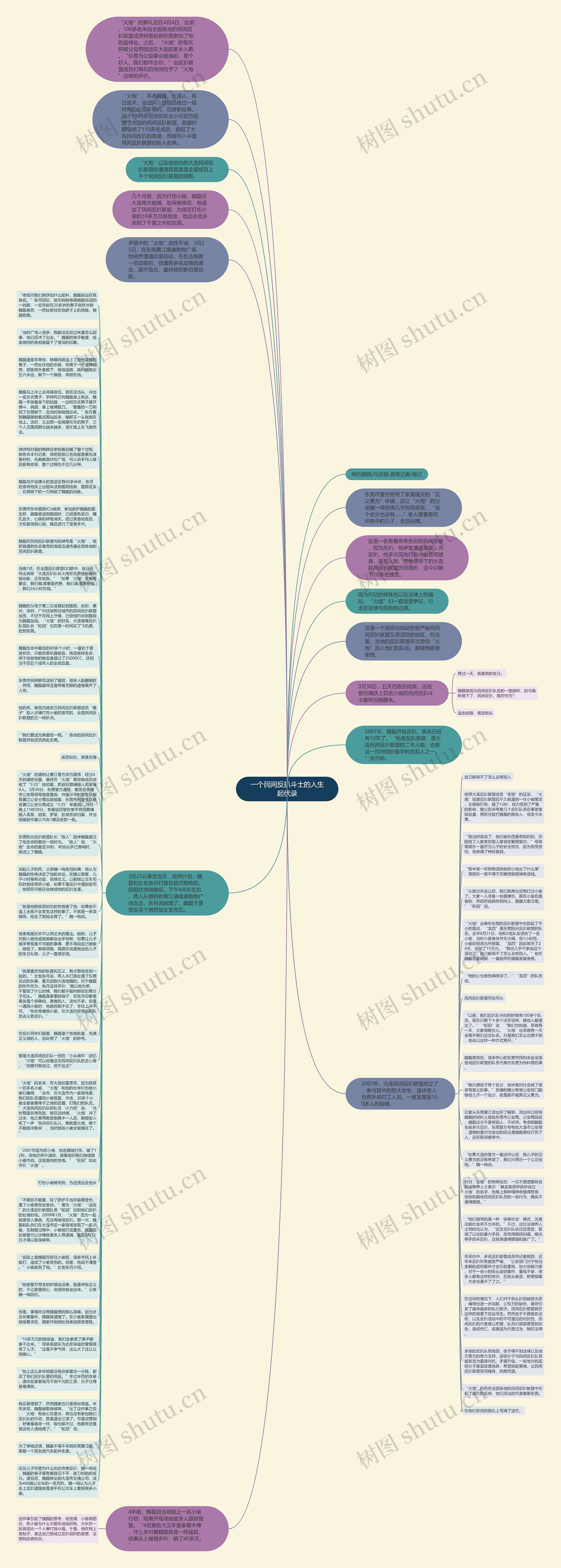 一个民间反扒斗士的人生起伏录思维导图