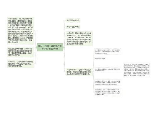 海口“网贼”盗窃他人银行存款 偷遍4个省