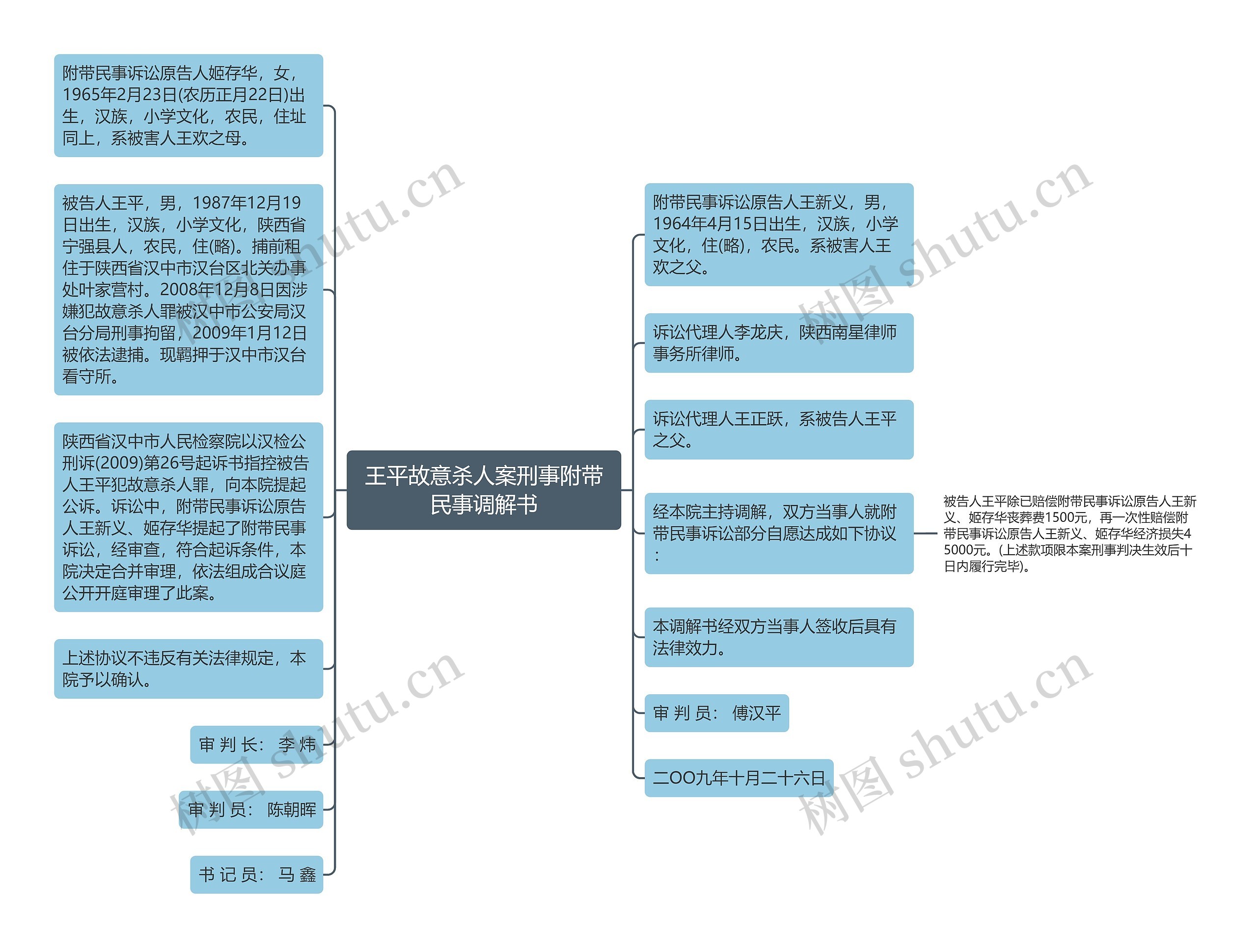 王平故意杀人案刑事附带民事调解书思维导图