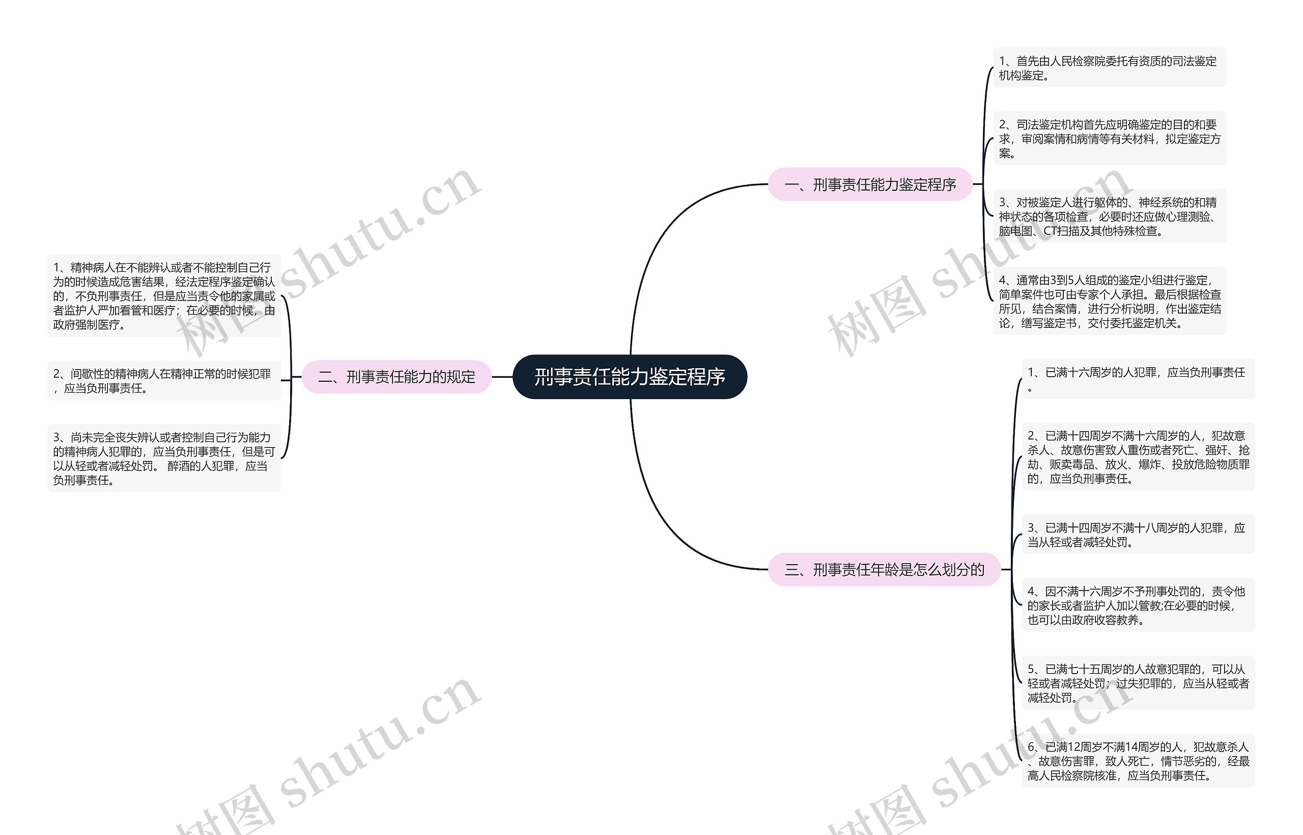 刑事责任能力鉴定程序思维导图