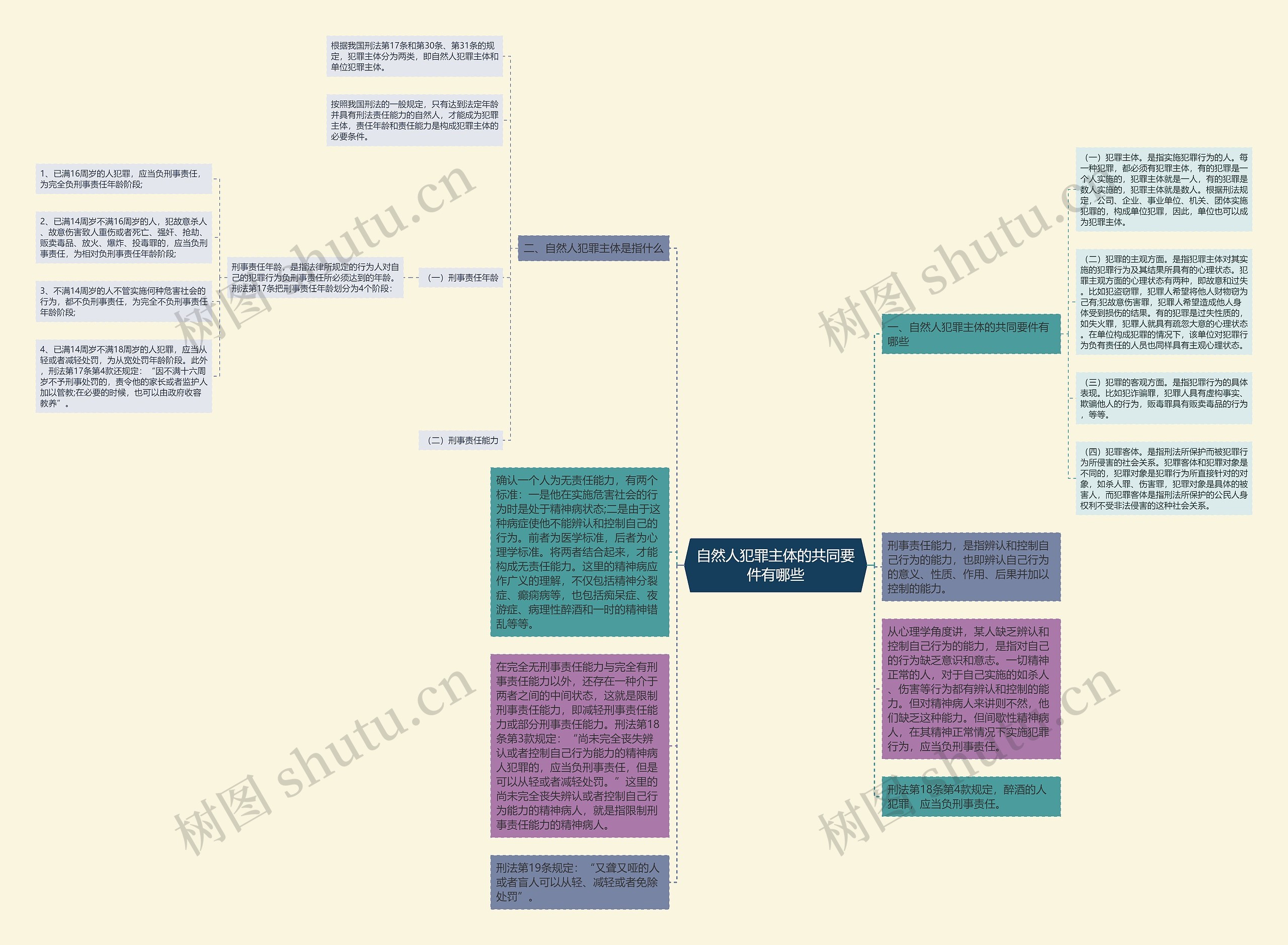 自然人犯罪主体的共同要件有哪些思维导图