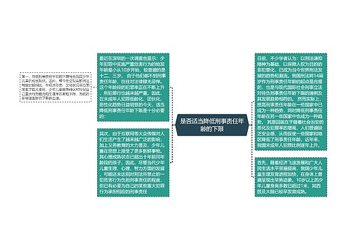 是否适当降低刑事责任年龄的下限