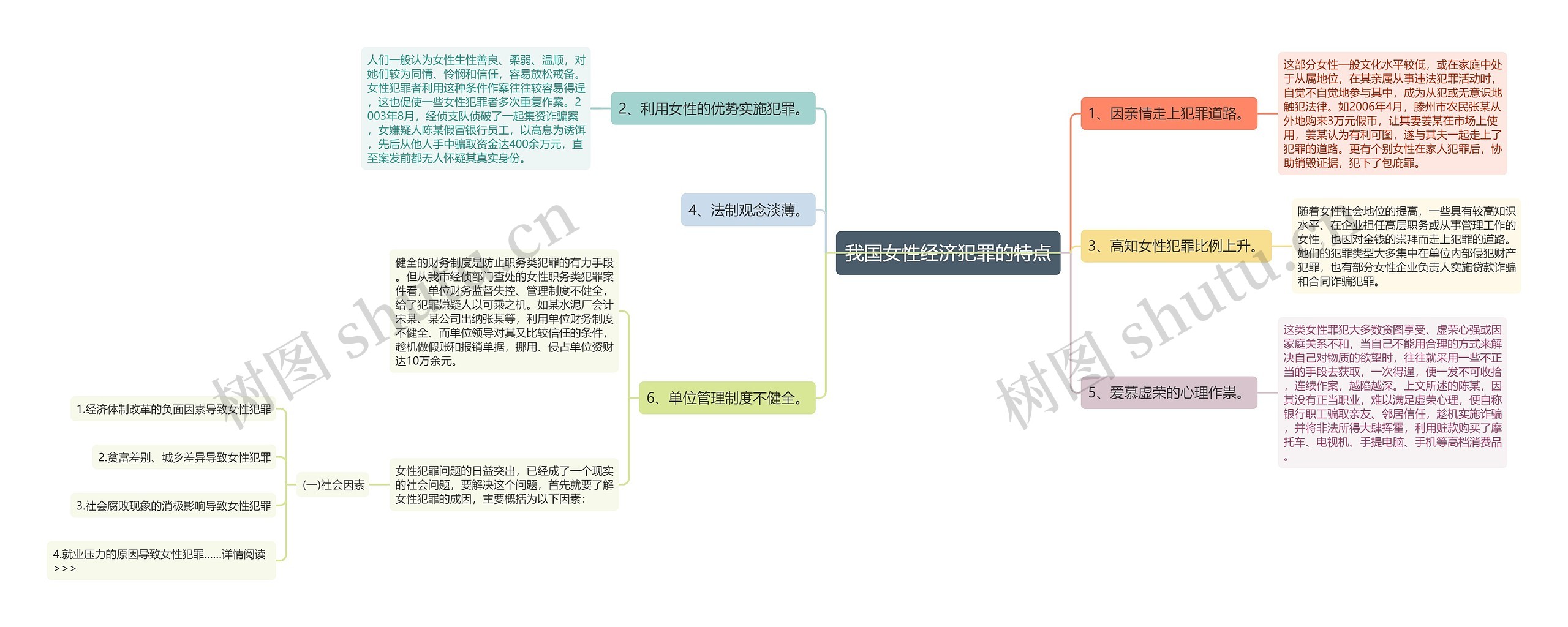 我国女性经济犯罪的特点思维导图