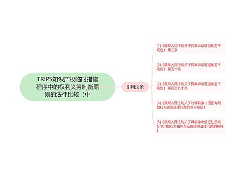 TRIPS知识产权临时措施程序中的权利义务制衡原则的法律比较（中