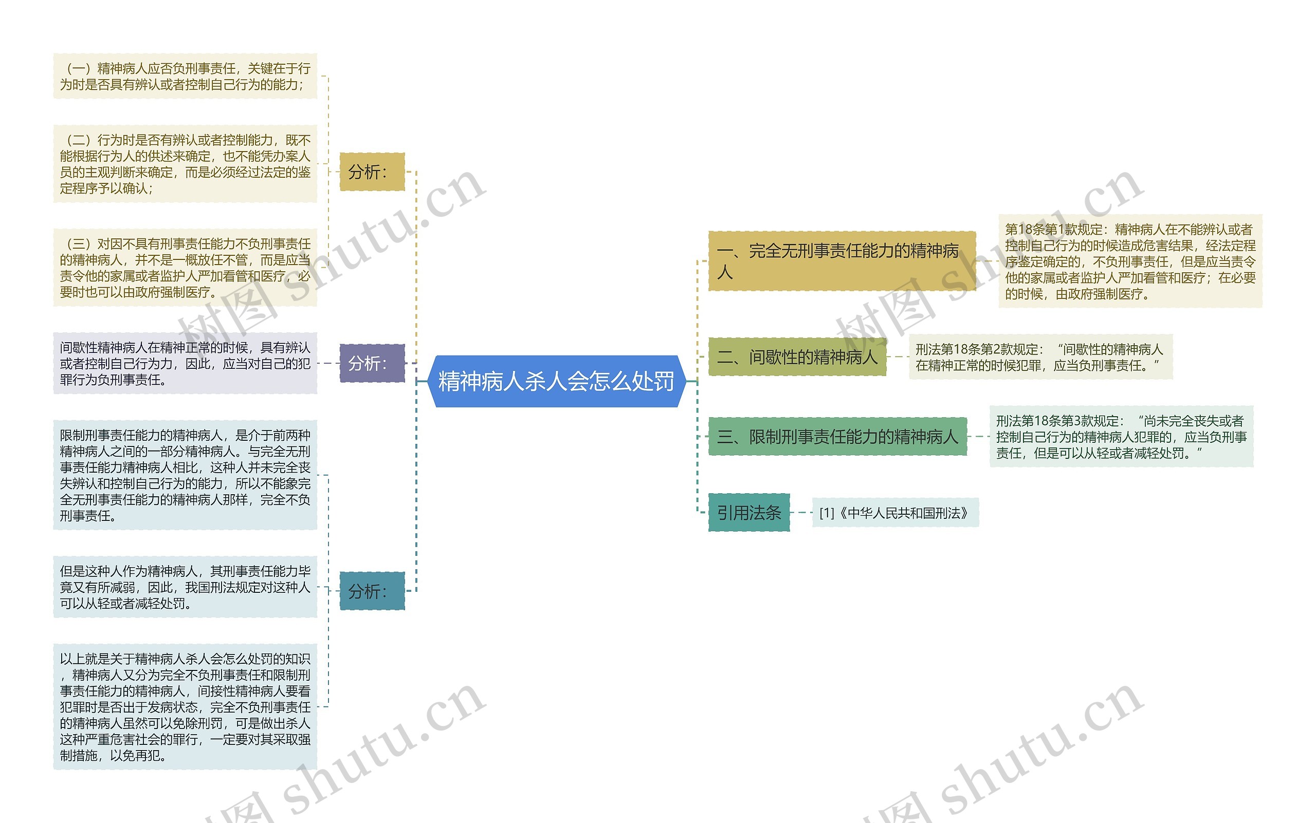 精神病人杀人会怎么处罚思维导图