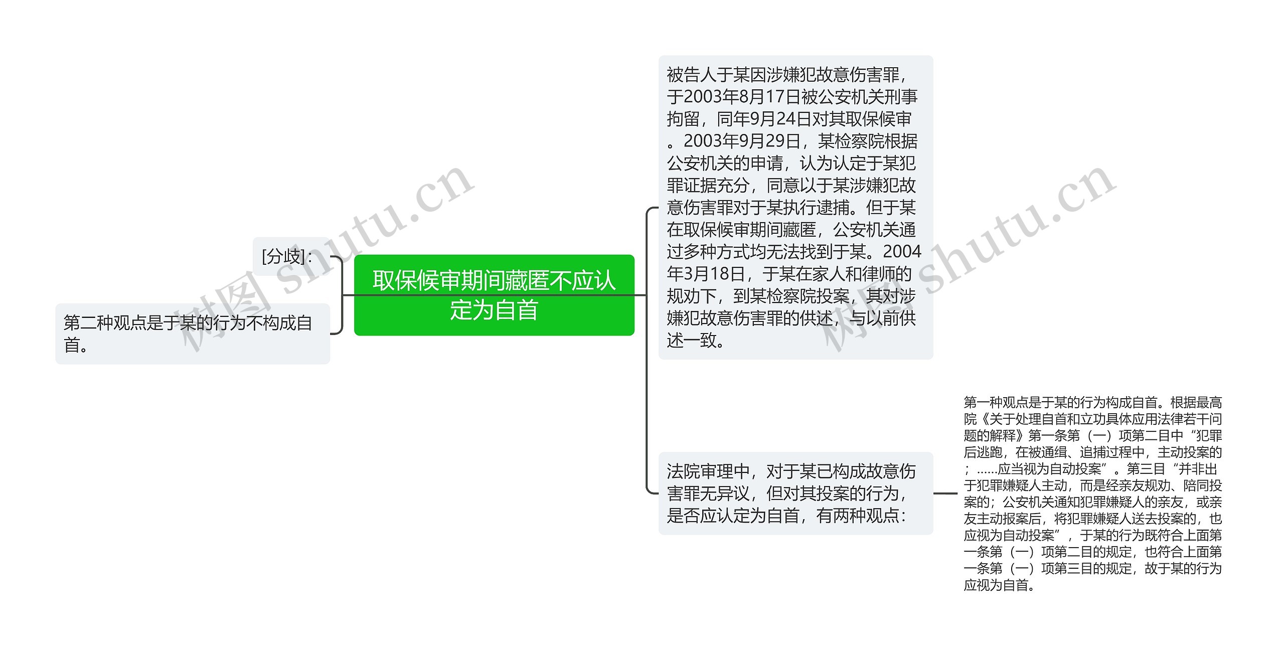 取保候审期间藏匿不应认定为自首思维导图