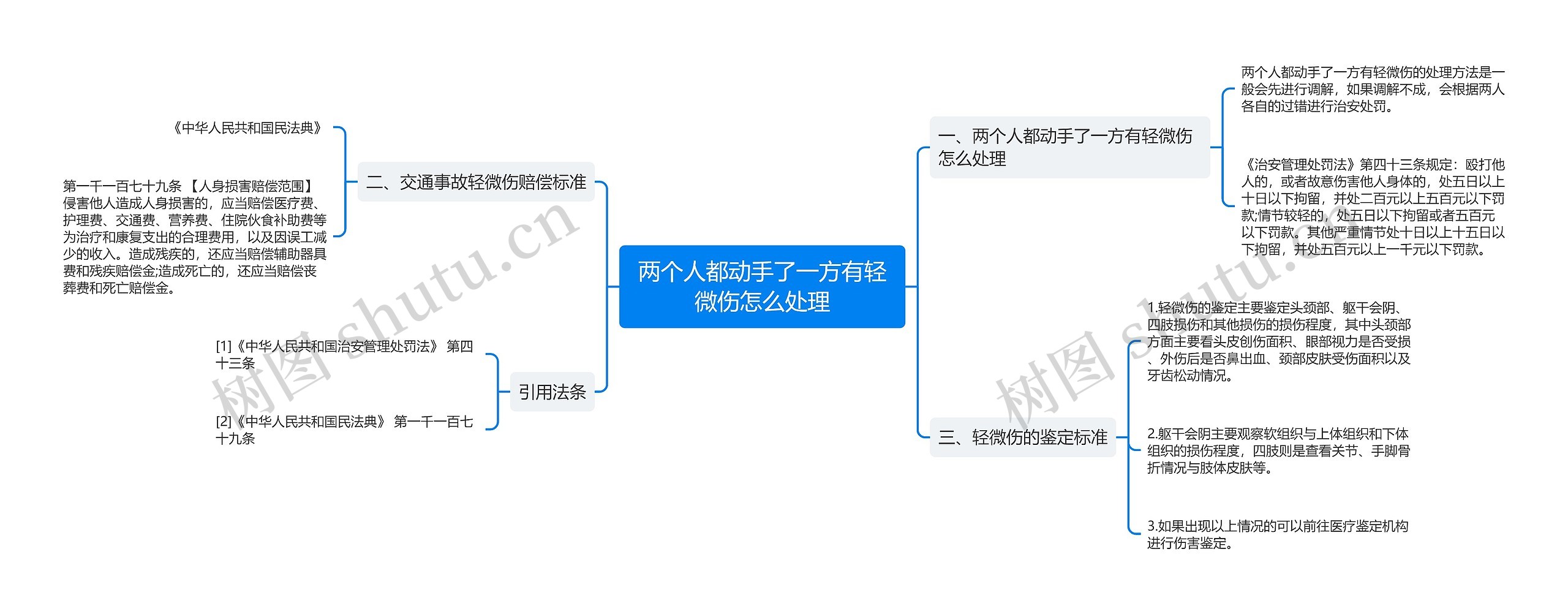 两个人都动手了一方有轻微伤怎么处理思维导图