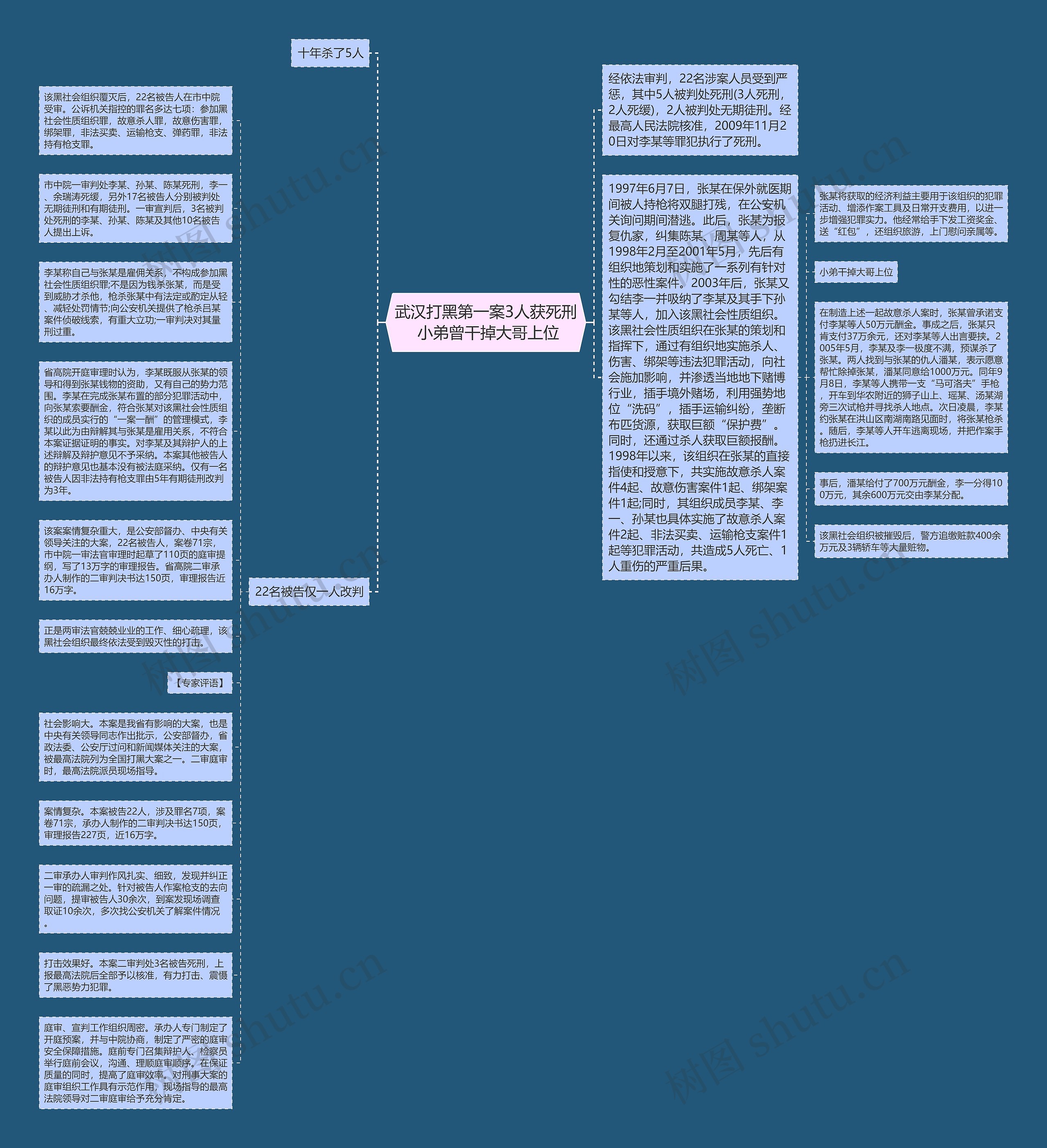 武汉打黑第一案3人获死刑 小弟曾干掉大哥上位思维导图