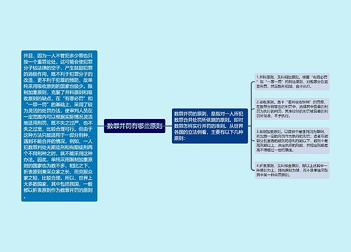 数罪并罚有哪些原则